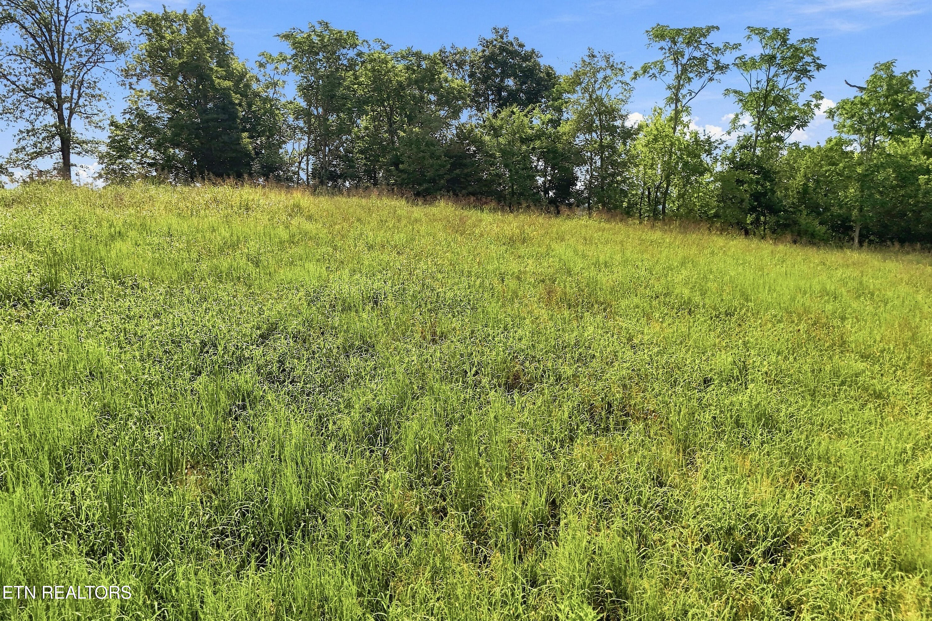 TBD Holston River Drive