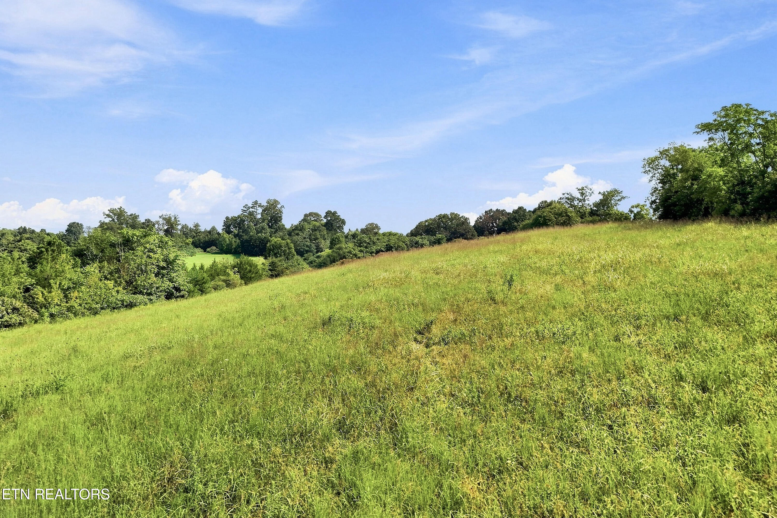 TBD Holston River Drive