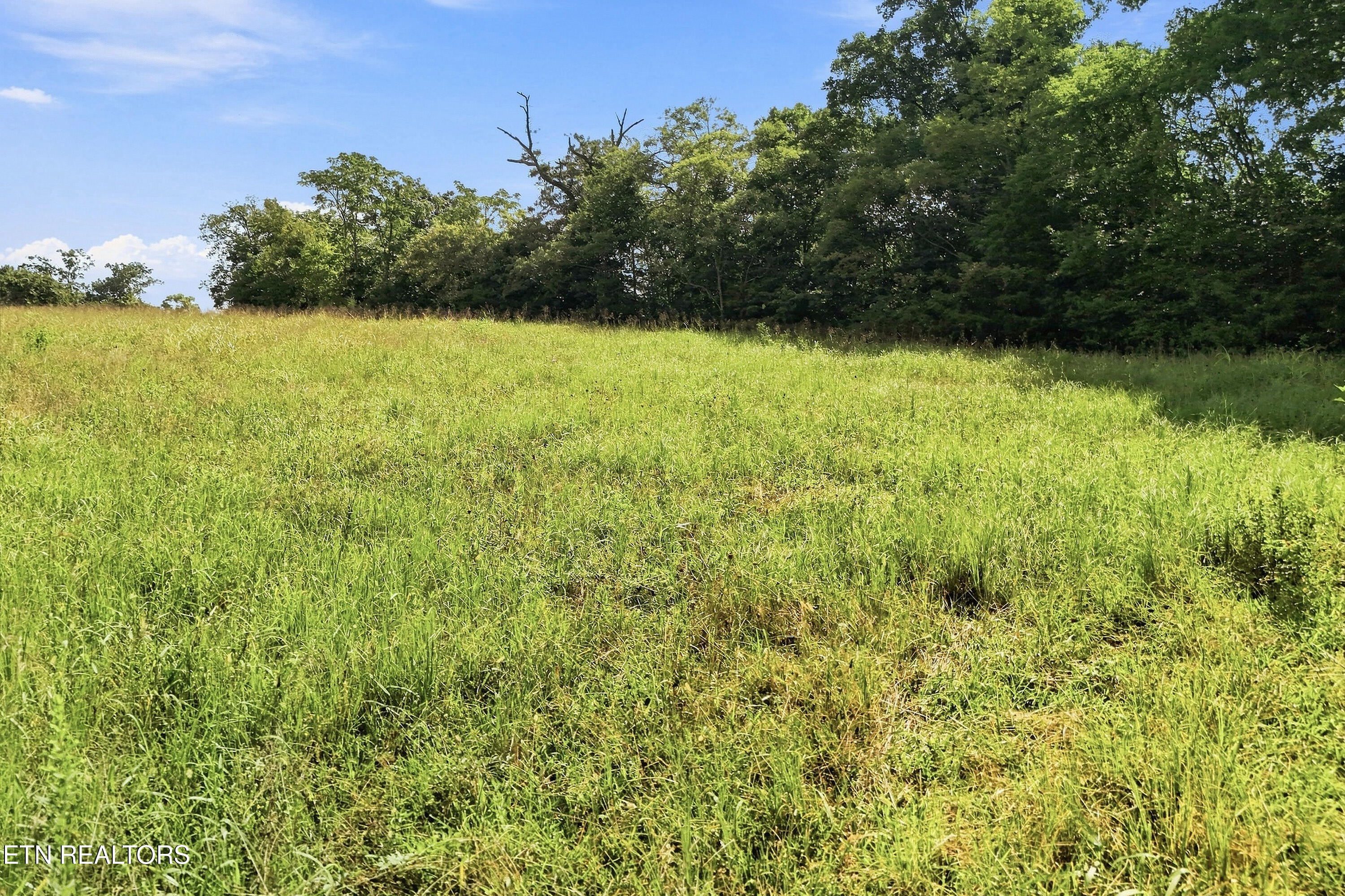 TBD Holston River Drive