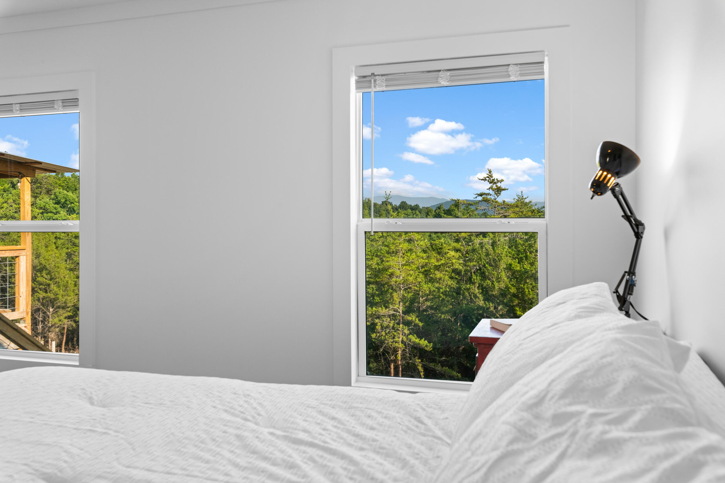 2710 Buck Horn Road Road