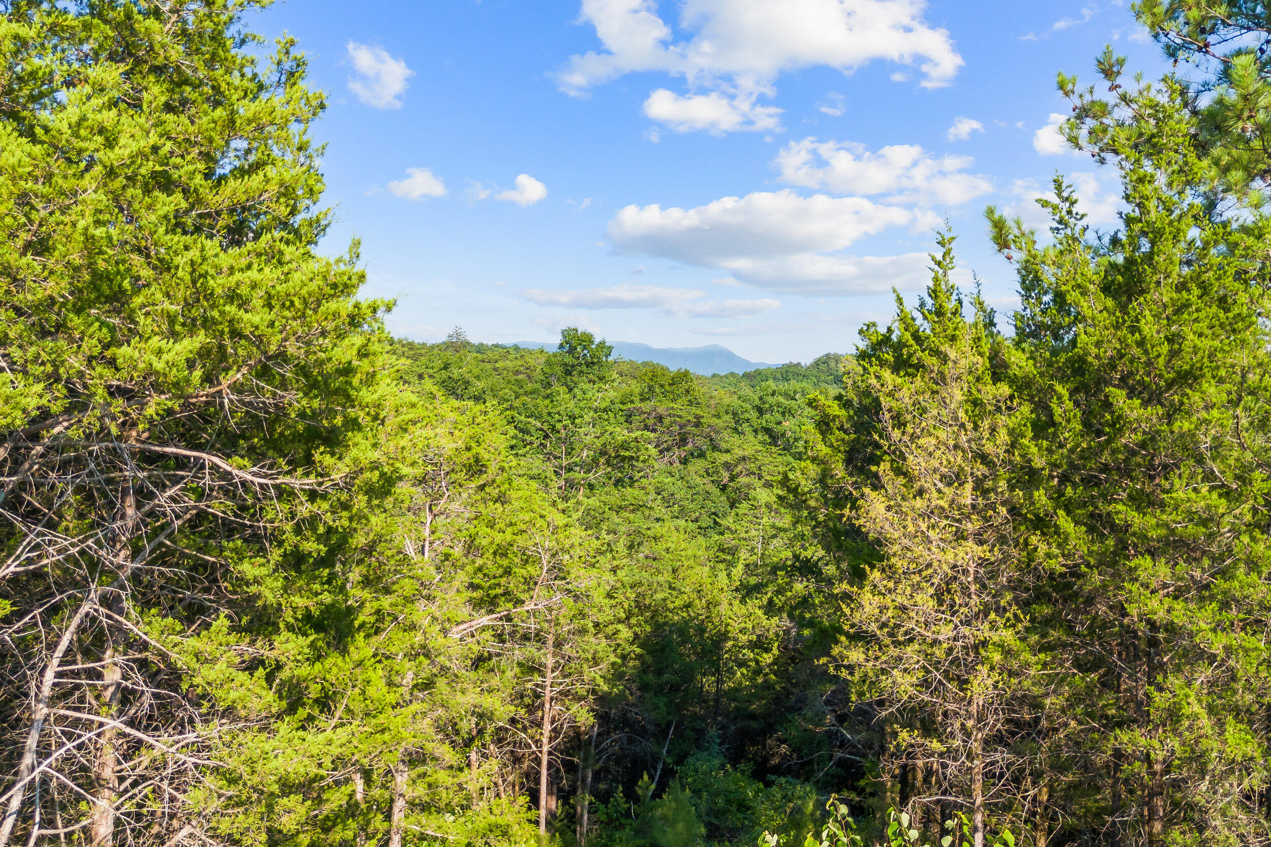 2710 Buck Horn Road Road