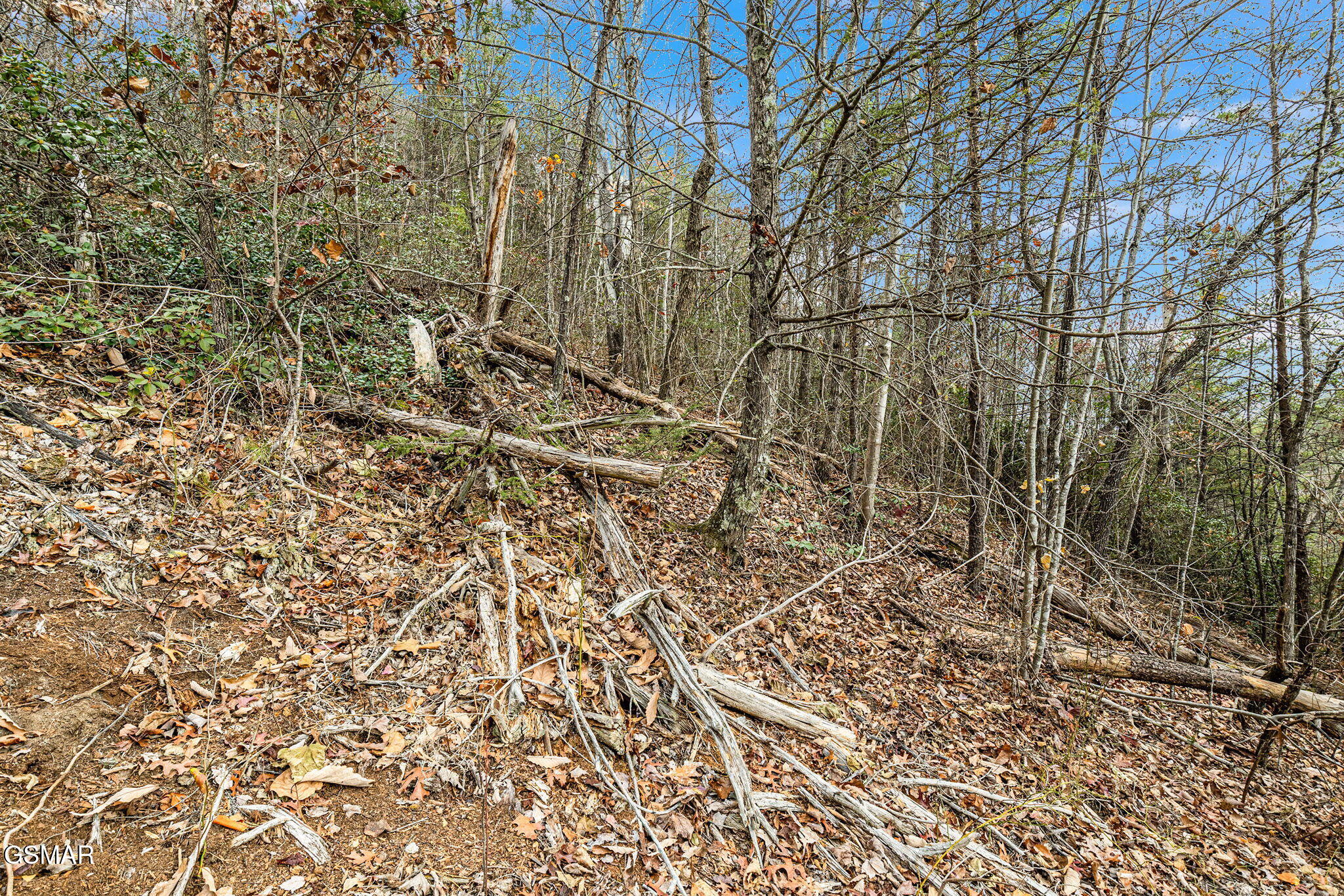 TBD Blossom Hollow Way Way