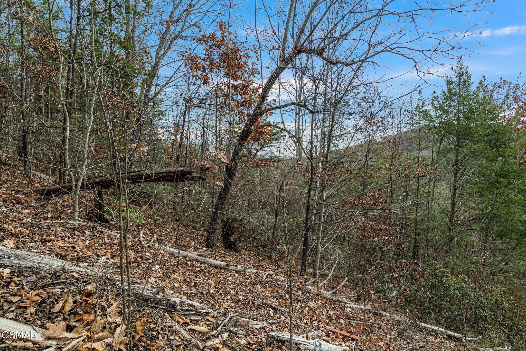 TBD Blossom Hollow Way Way