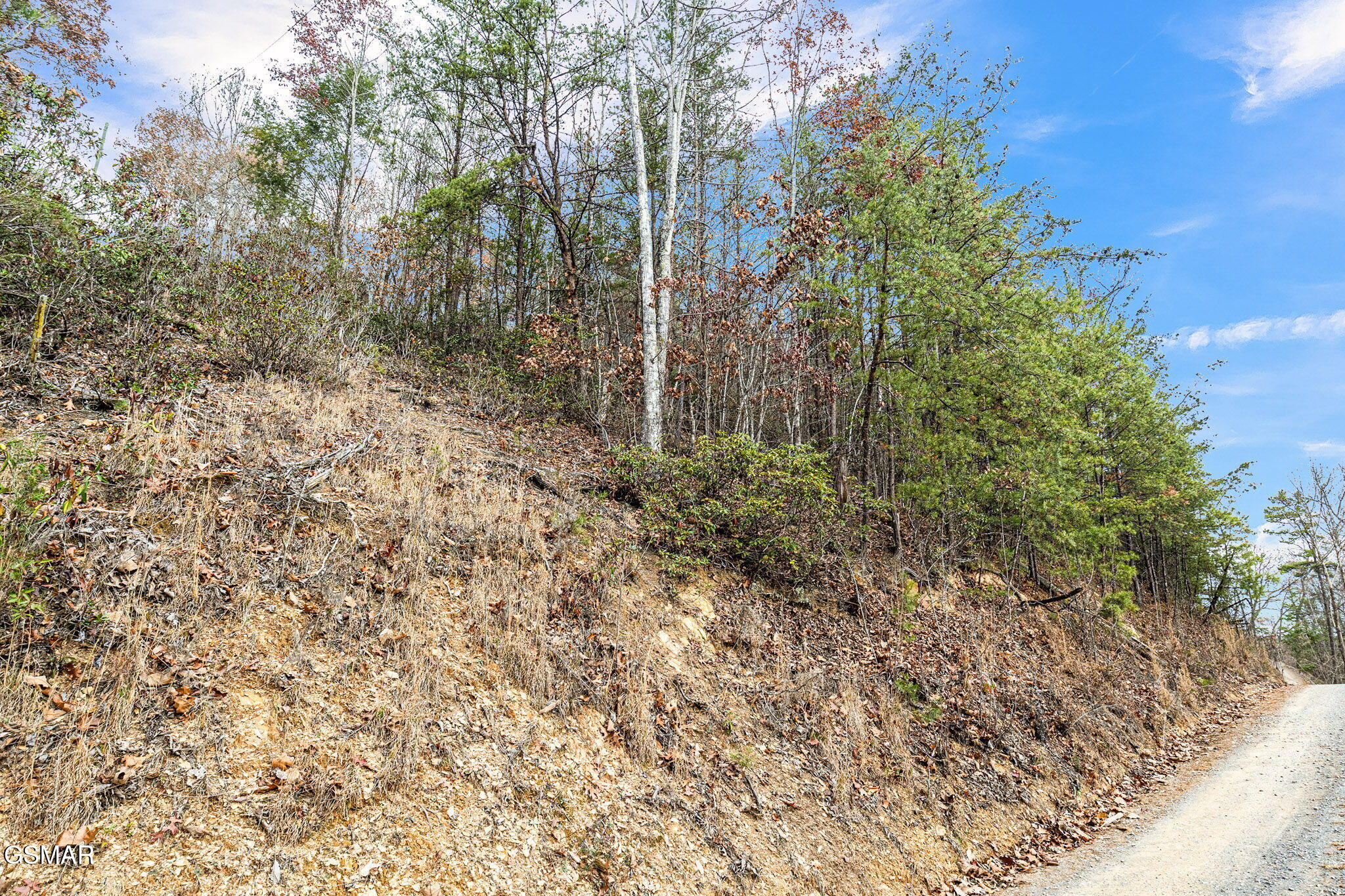 TBD Blossom Hollow Way Way