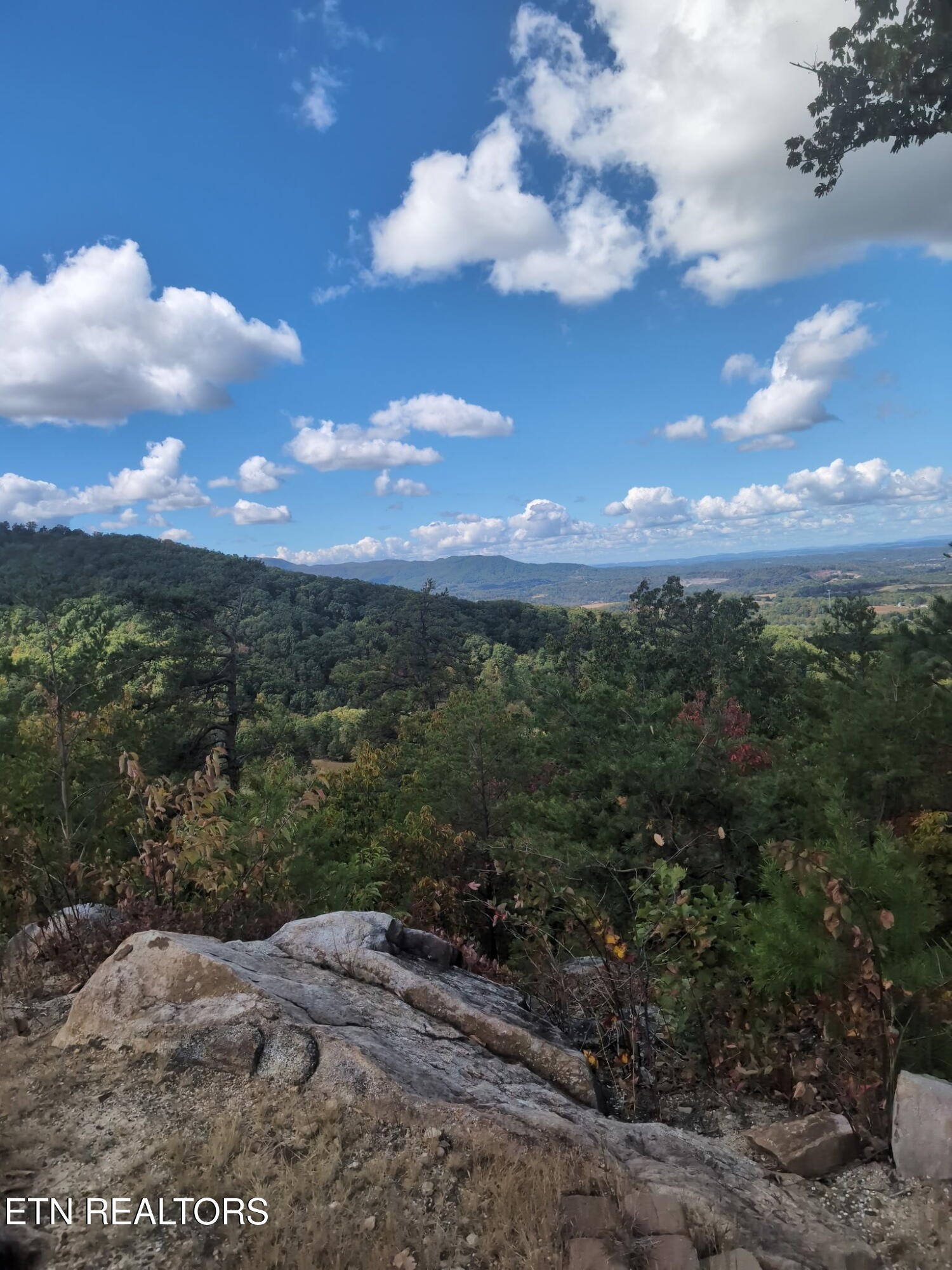 971 Critter Mountain Way