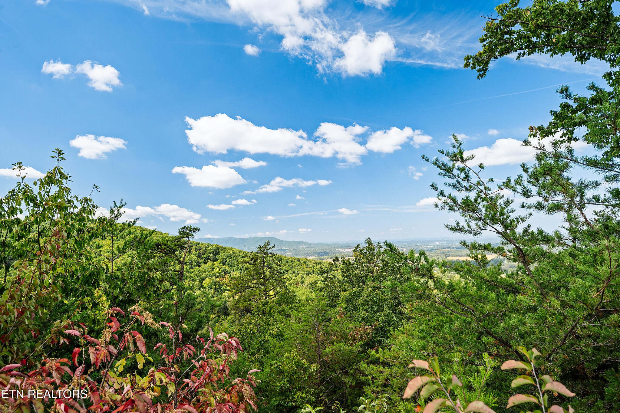971 Critter Mountain Way