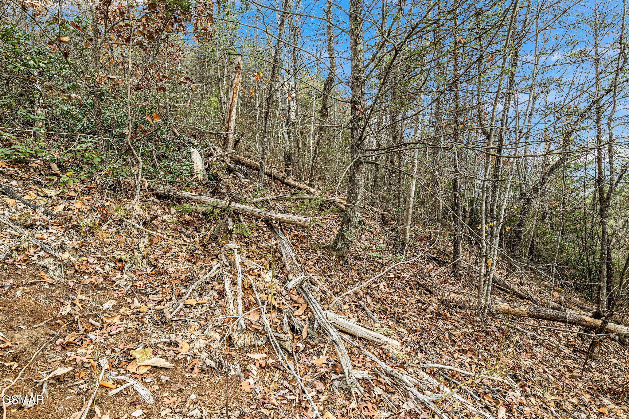 0 Blossom Hollow Way