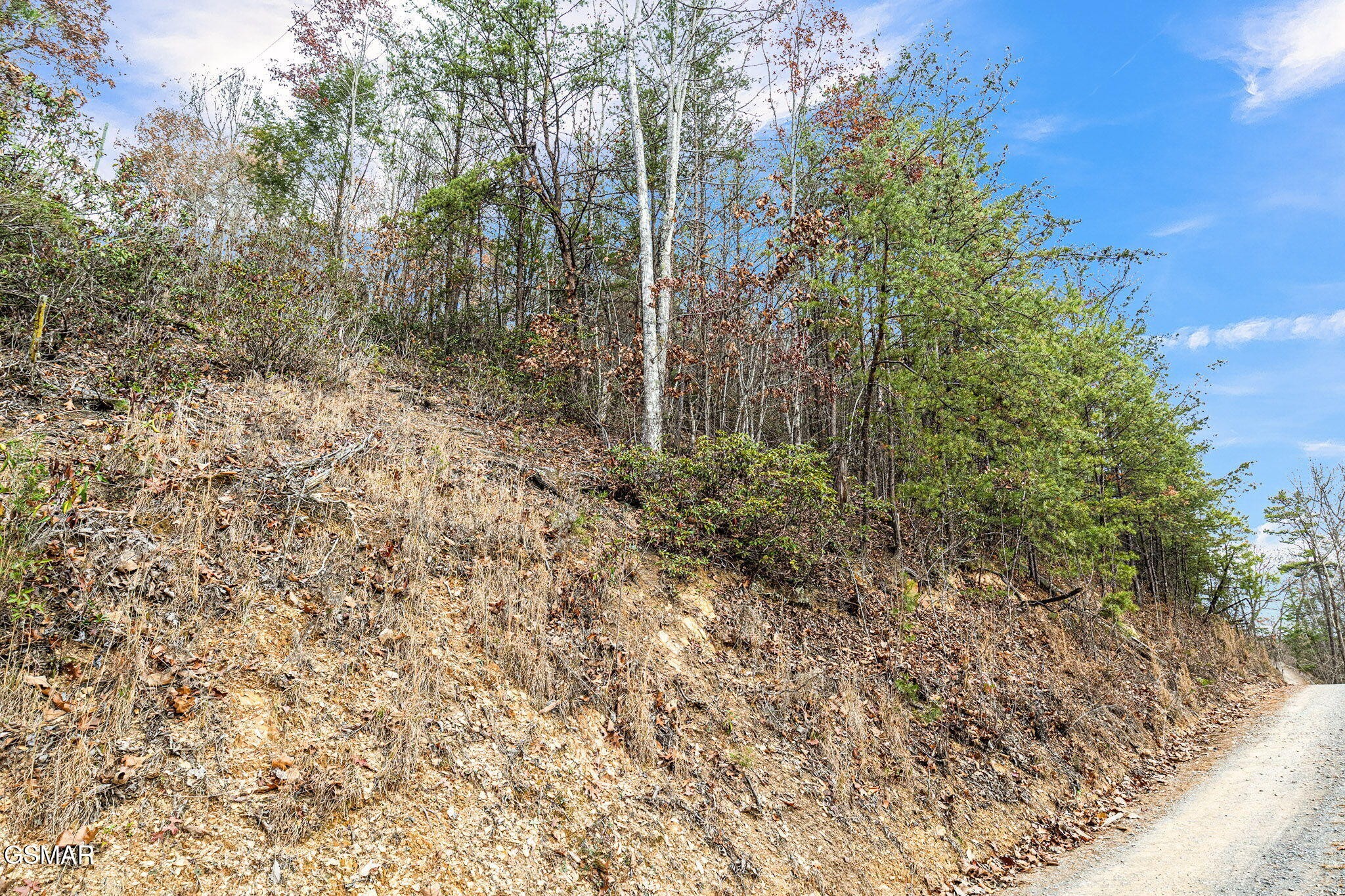 0 Blossom Hollow Way