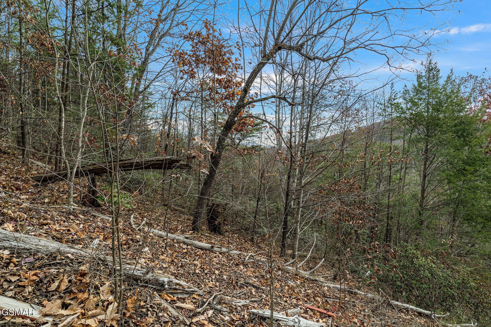 0 Blossom Hollow Way