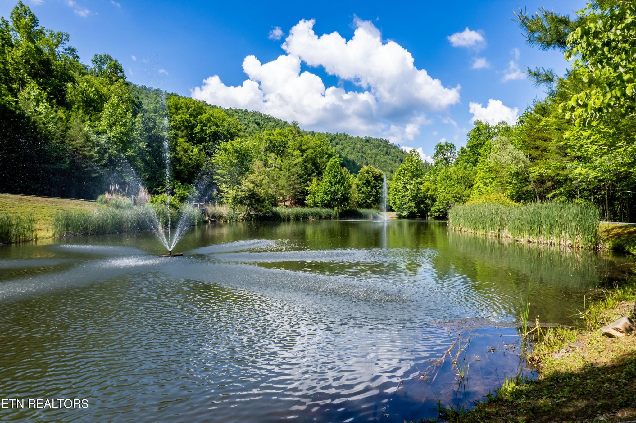 509 Lady Slipper Lane