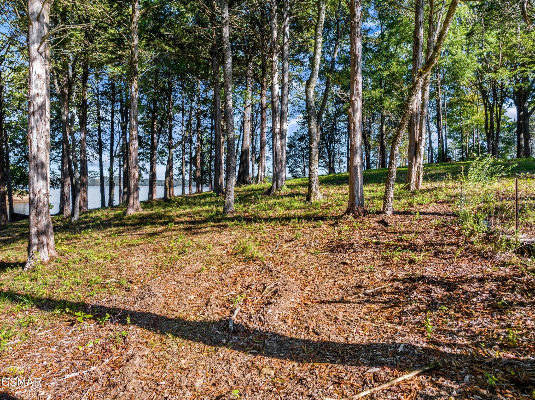 1080 Ridge Point Trail