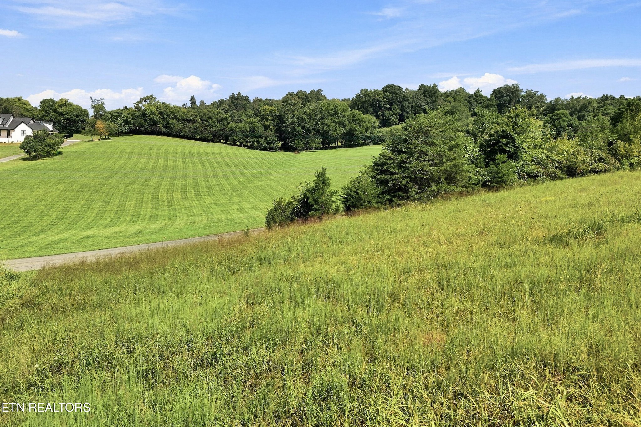 Grassy land with a mowed field, tall foreground grass, and a tree-lined boundary.
