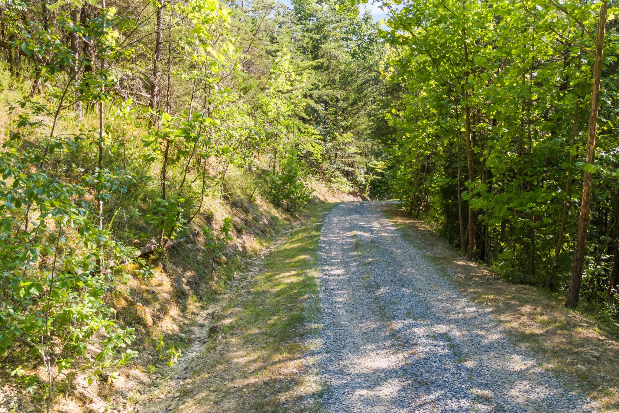 2710 Buck Horn Road