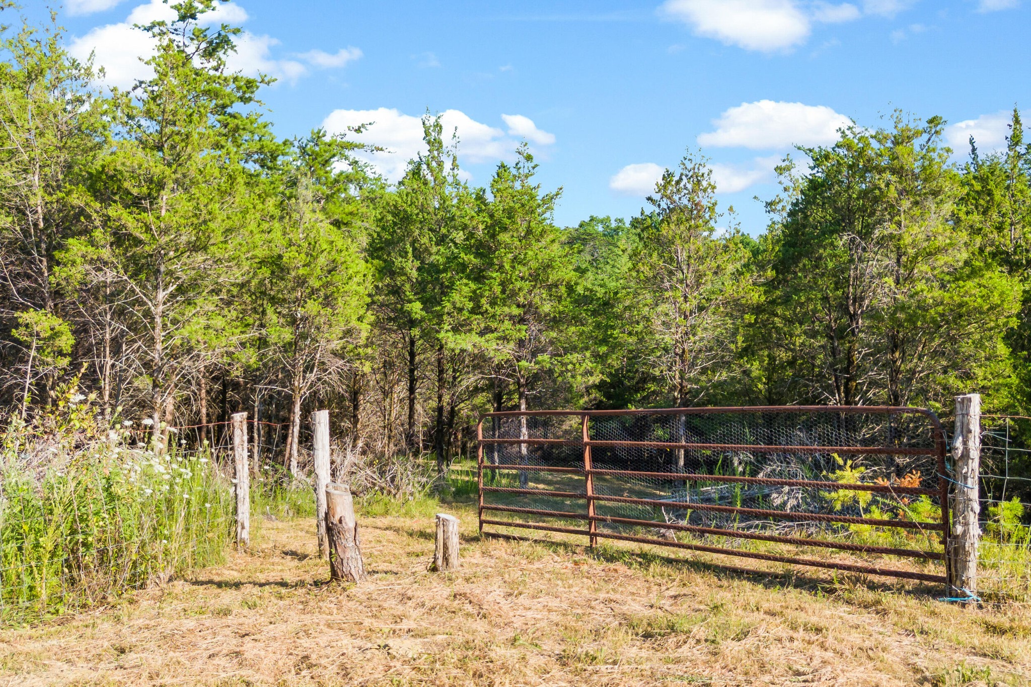 2710 Buck Horn Road