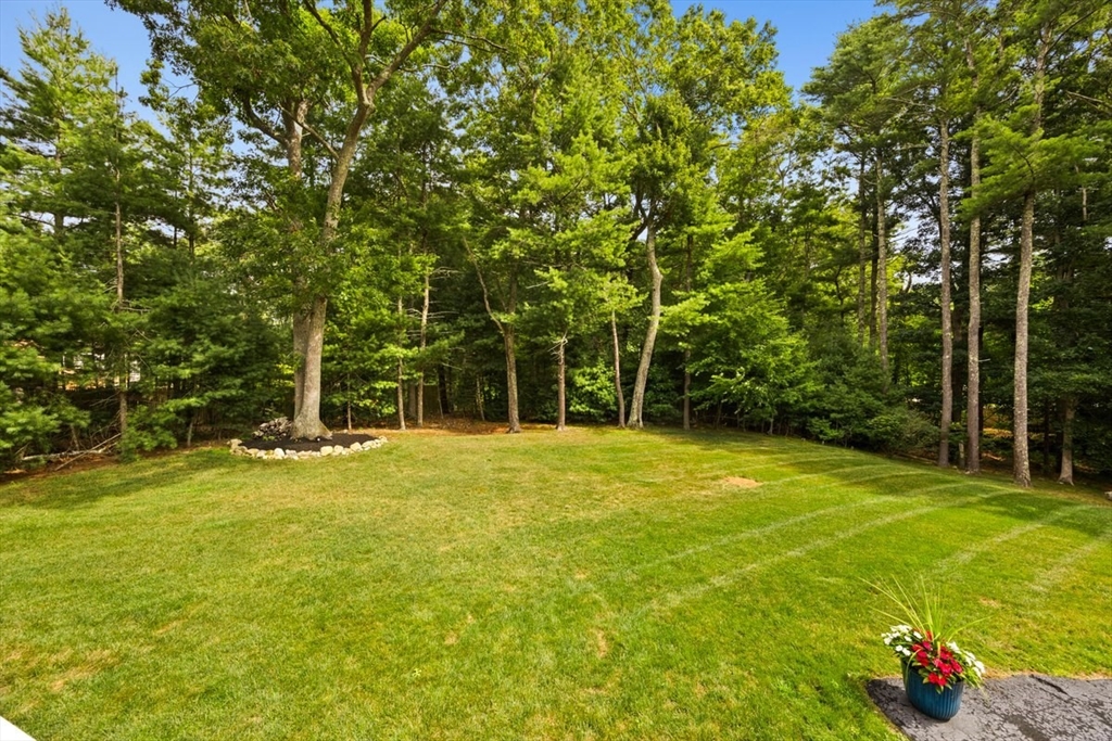 26 Delorenzo Drive