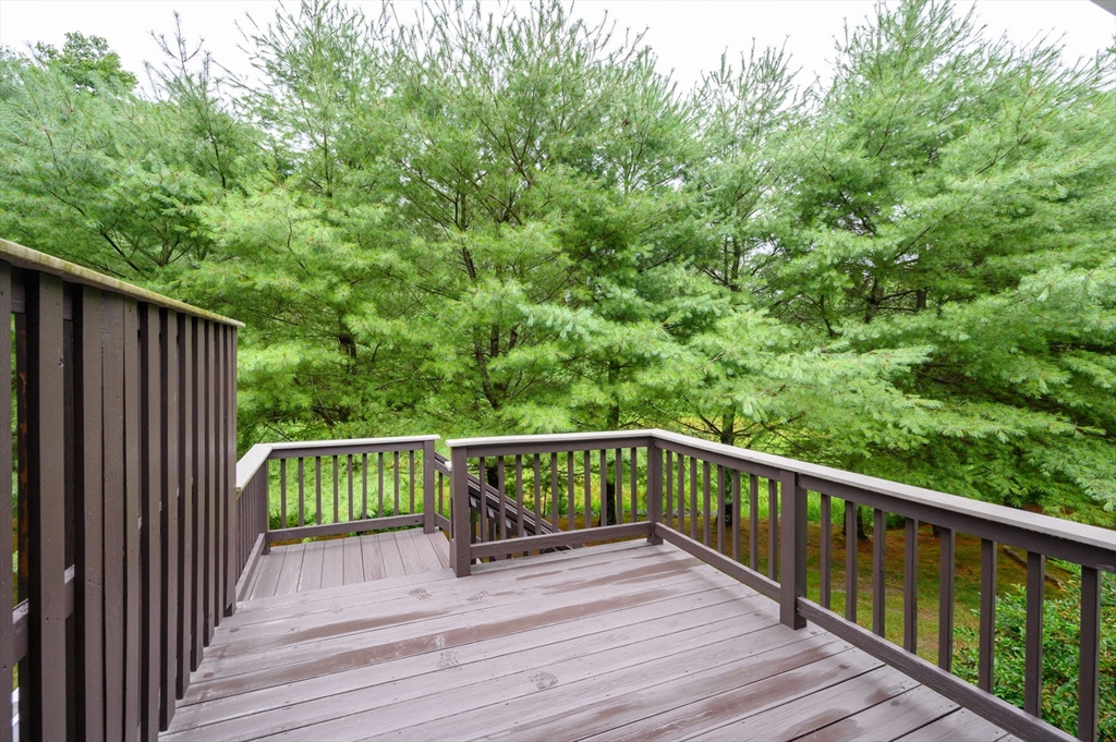 41 Liberty Dr # 41