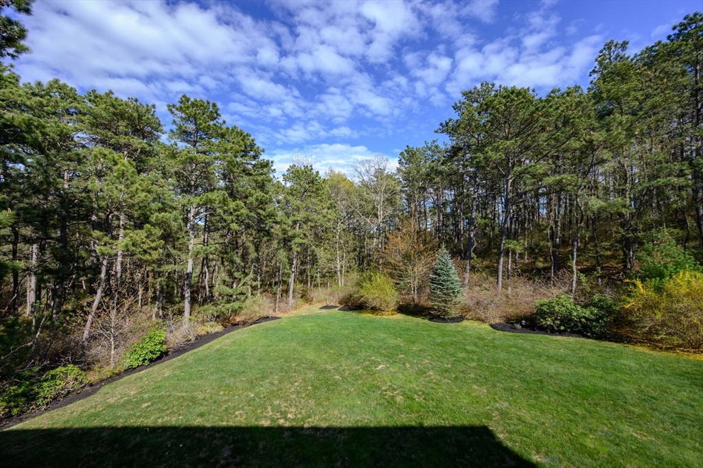 86 Pioneer Trail