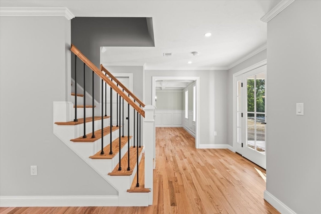 11 Elm Place