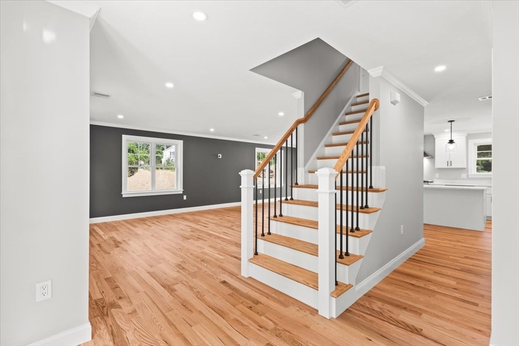 11 Elm Place