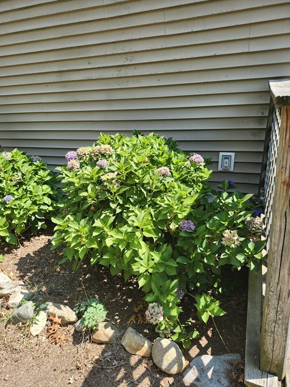 56 Bunnys Road