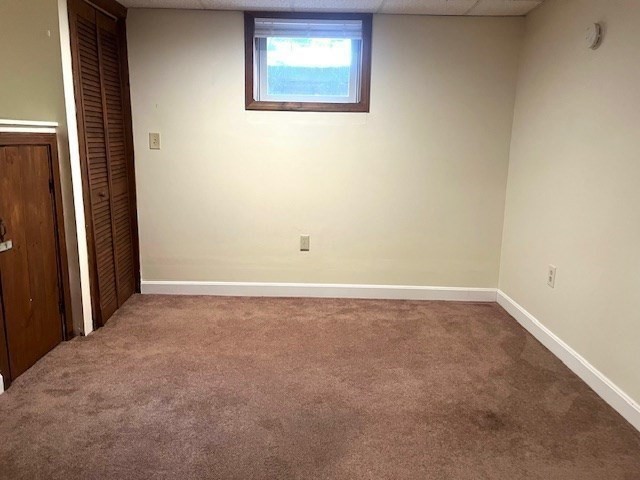 55 Pine Tree Lane # B