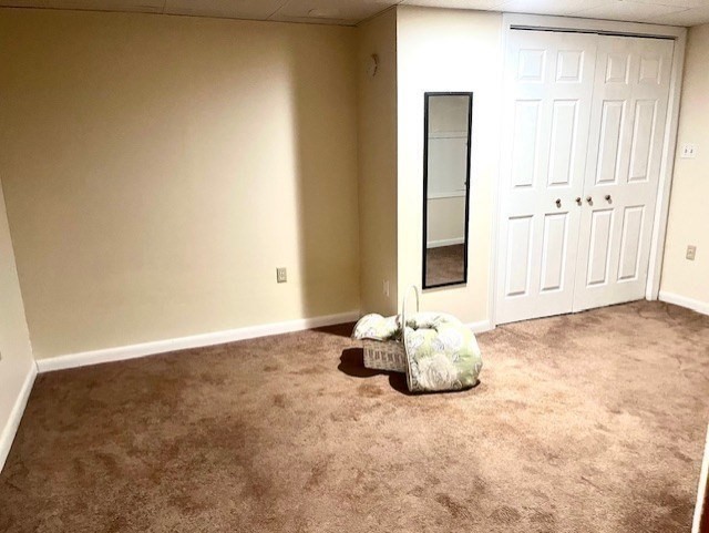 55 Pine Tree Lane # B