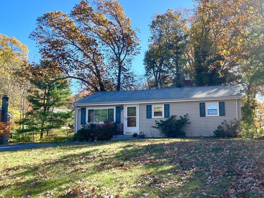55 Pine Tree Lane # B