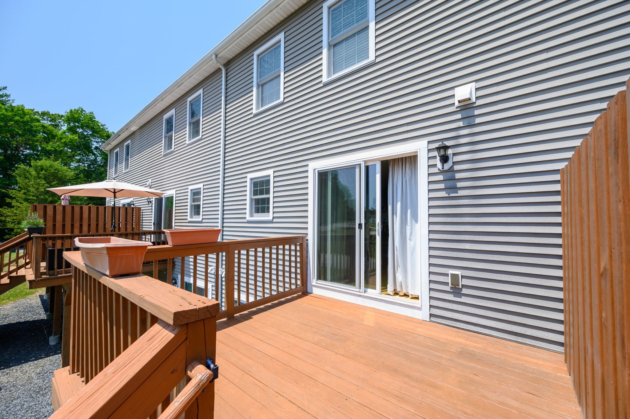32 Great Cedar # 32