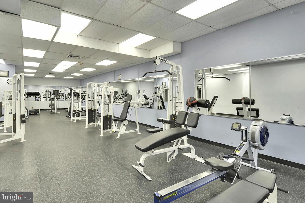 301 N BEAUREGARD STREET N 1103