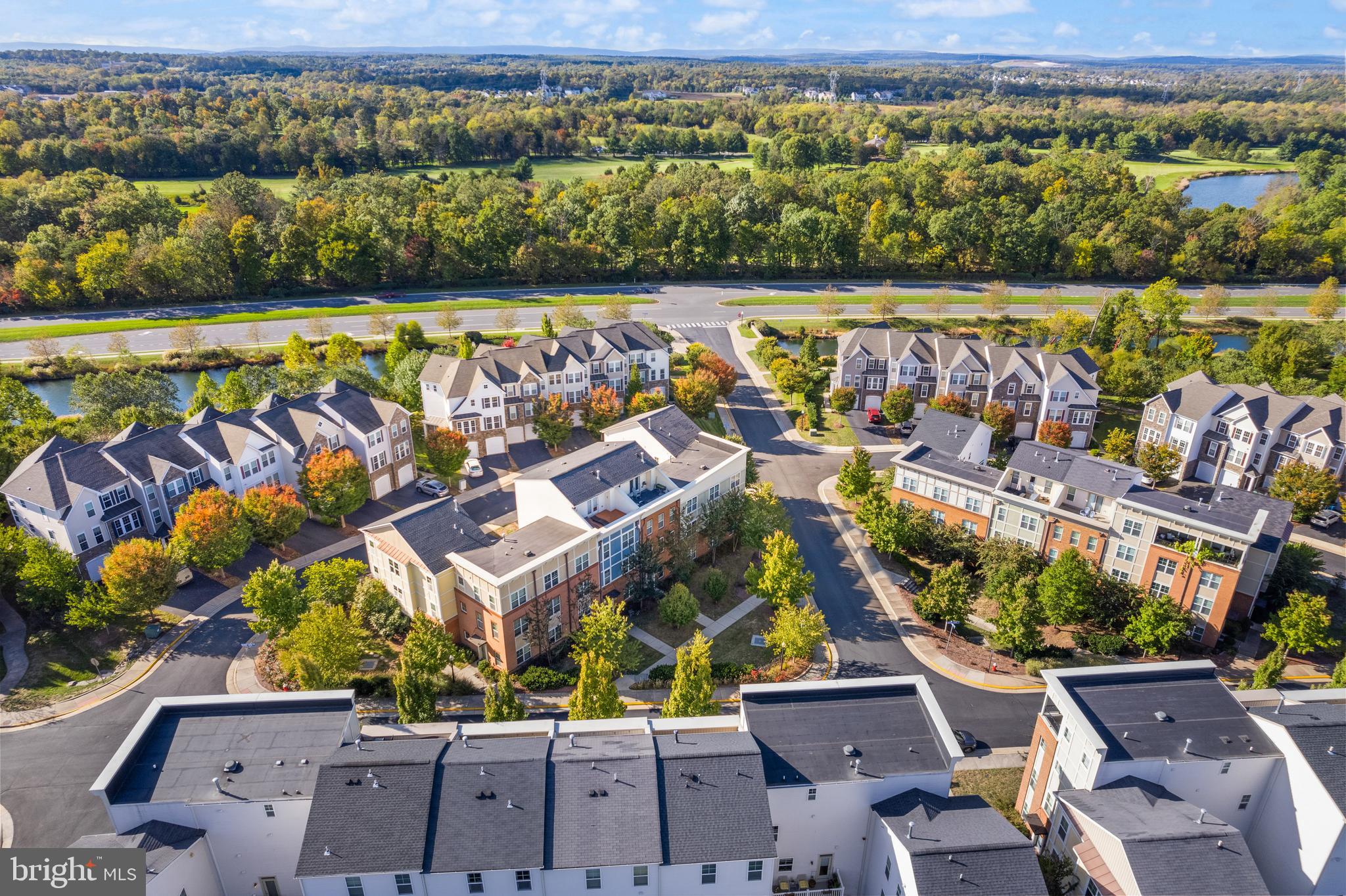 42395 PALE IRIS TERRACE