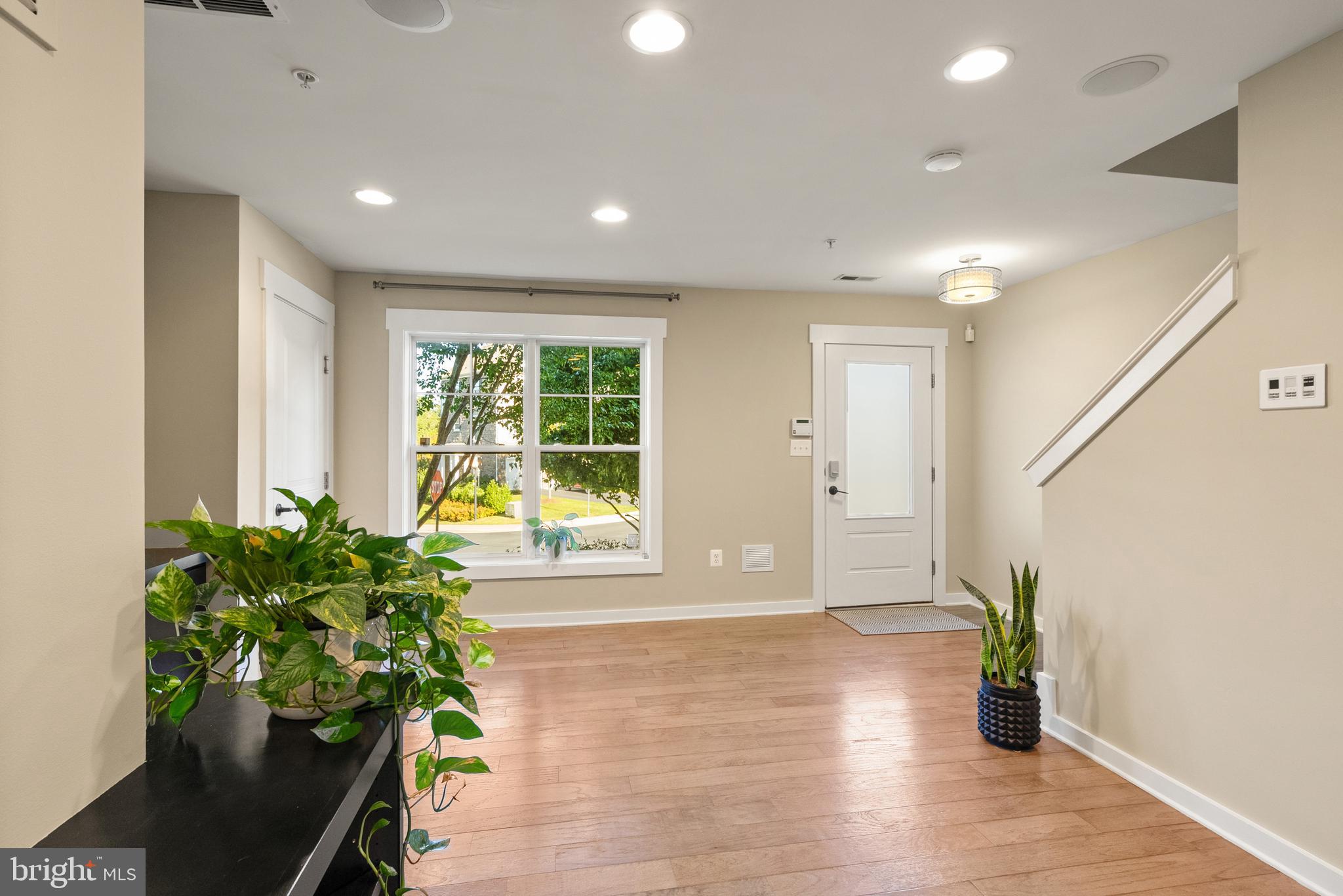 42395 PALE IRIS TERRACE