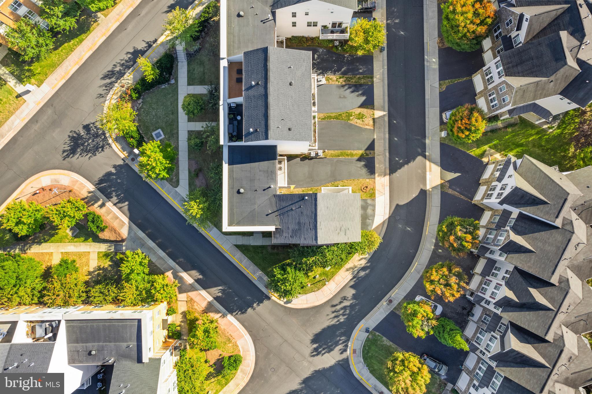 42395 PALE IRIS TERRACE