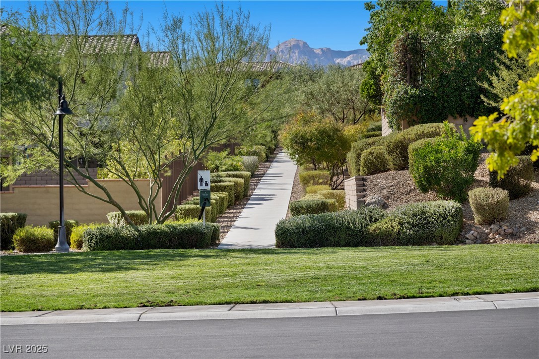 396 Venticello Drive