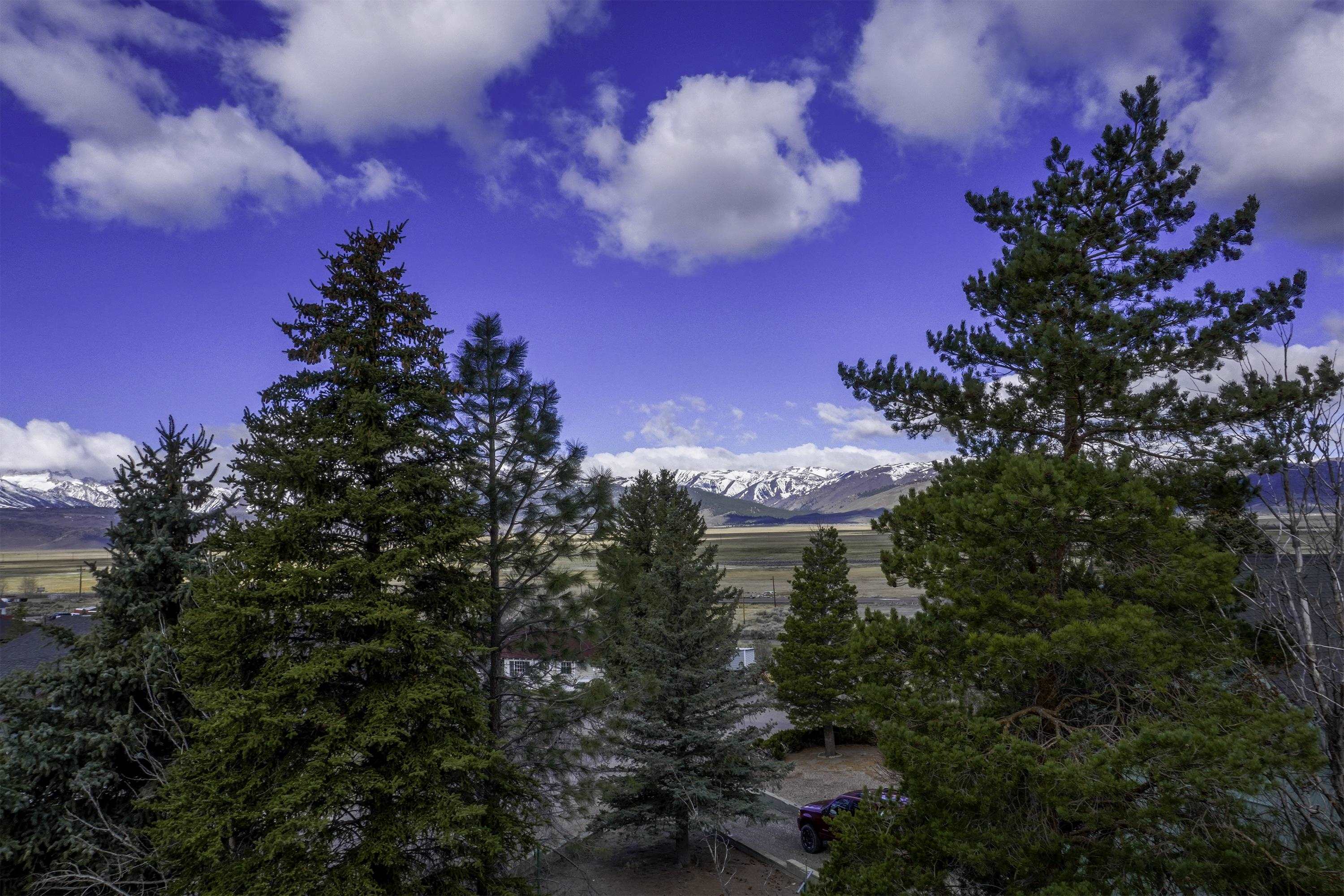 135 Mt. Jackson Drive