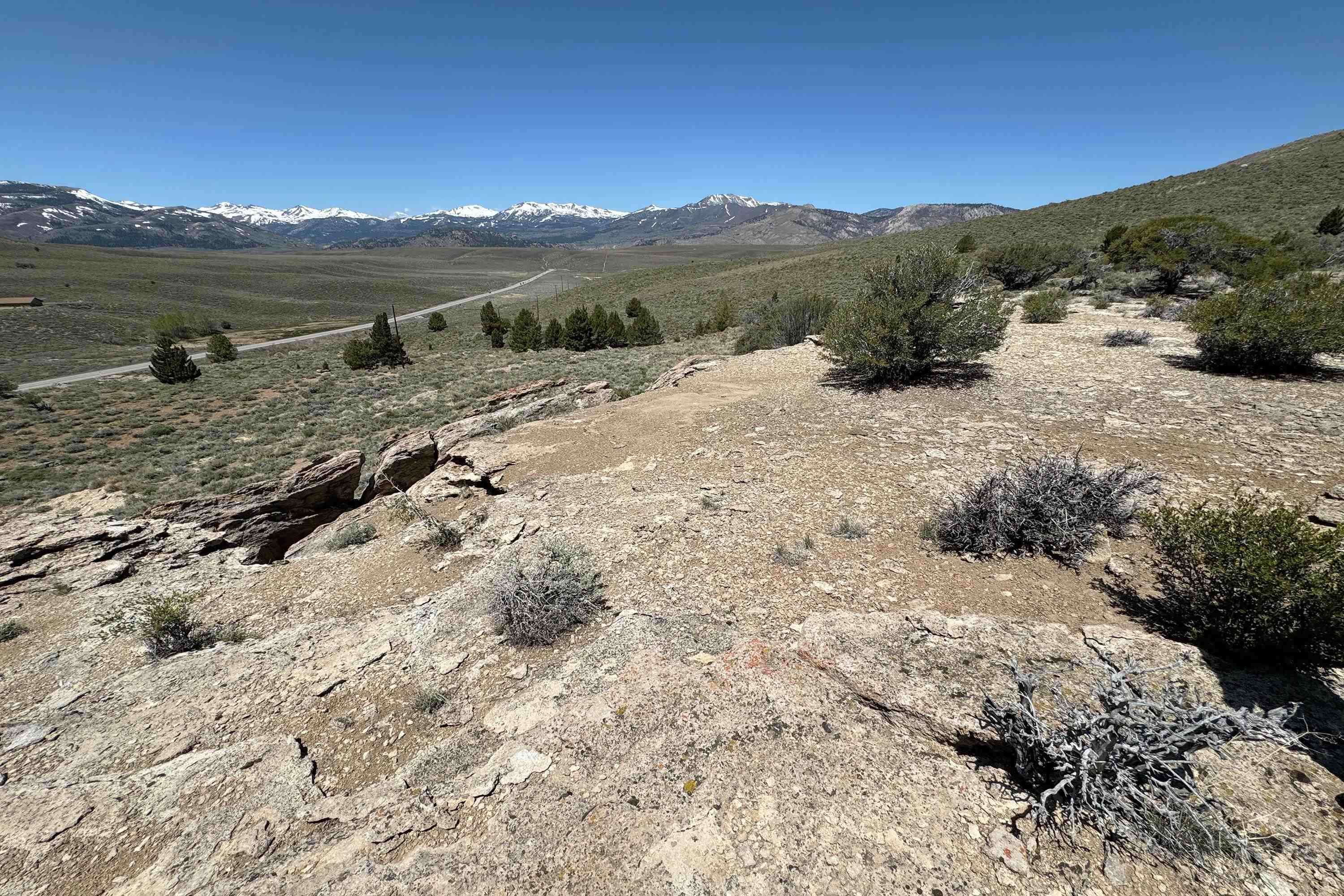 APN: 006-120-040-000, Hwy 395