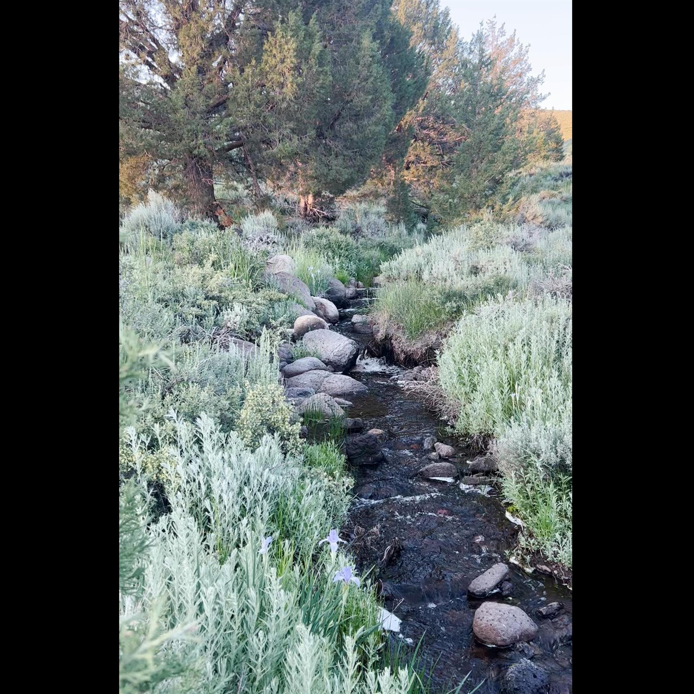 APN: 006-120-040-000, Hwy 395