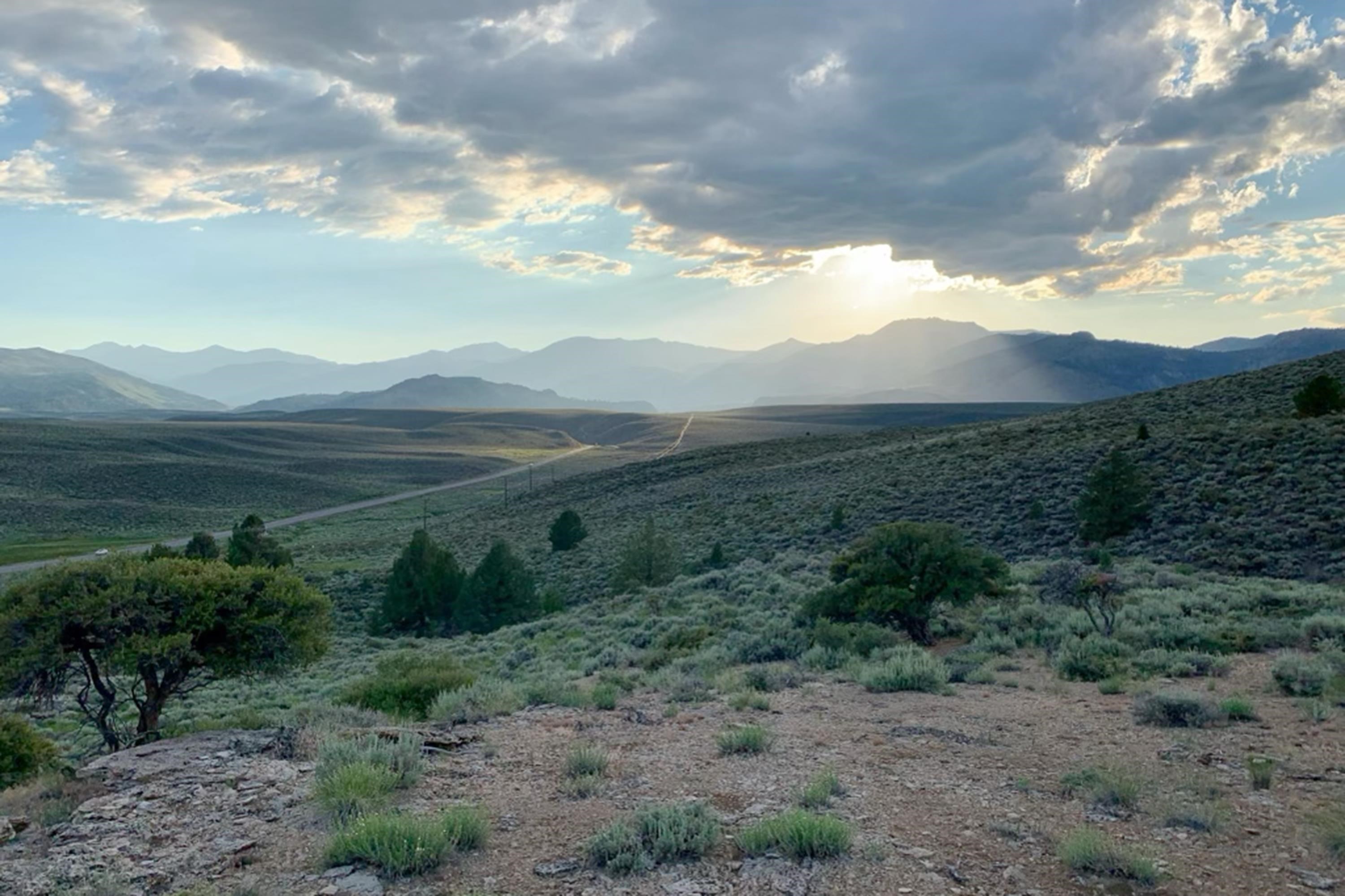 APN: 006-120-040-000, Hwy 395