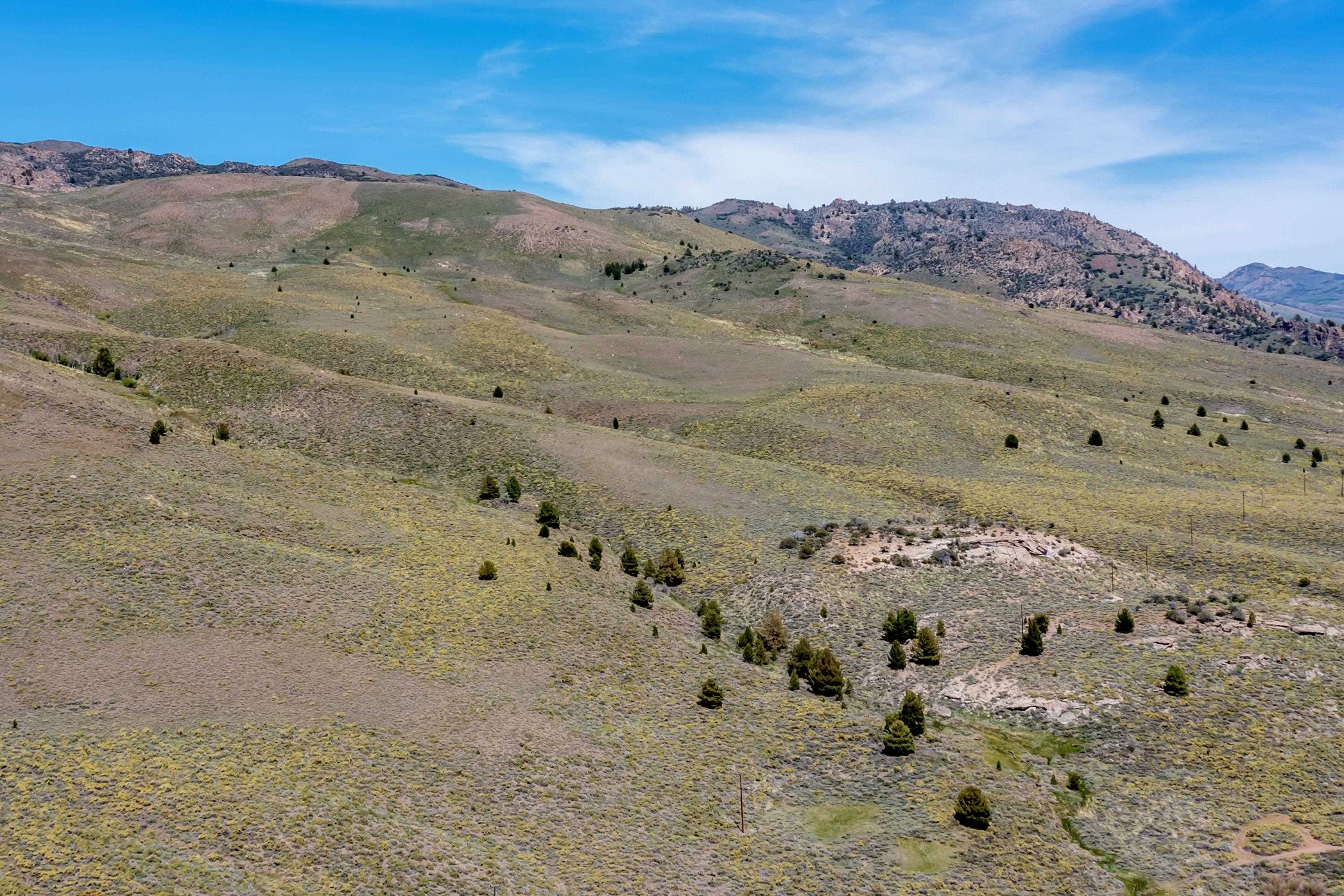 APN: 006-120-040-000, Hwy 395