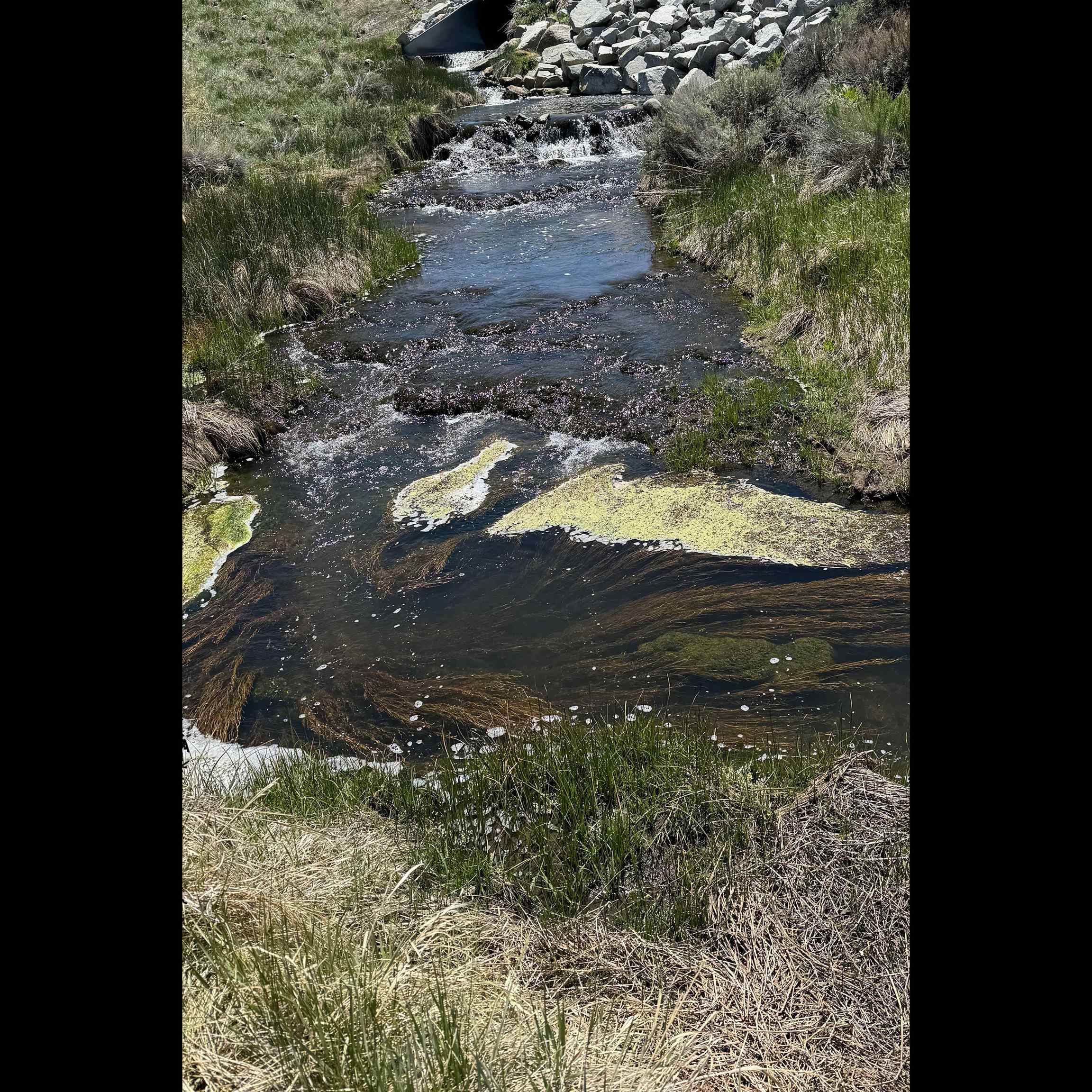 APN: 006-120-040-000, Hwy 395