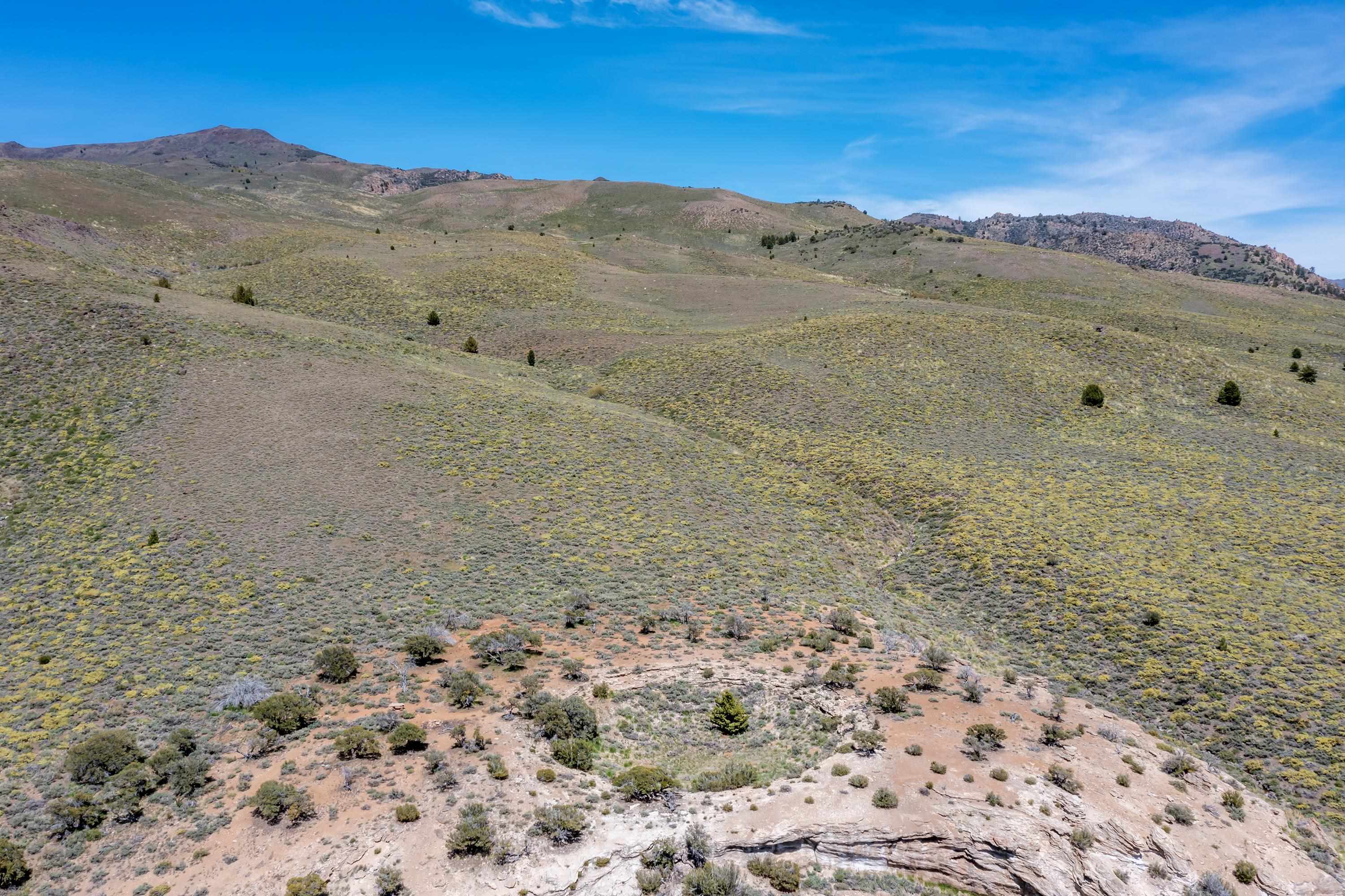 APN: 006-120-040-000, Hwy 395