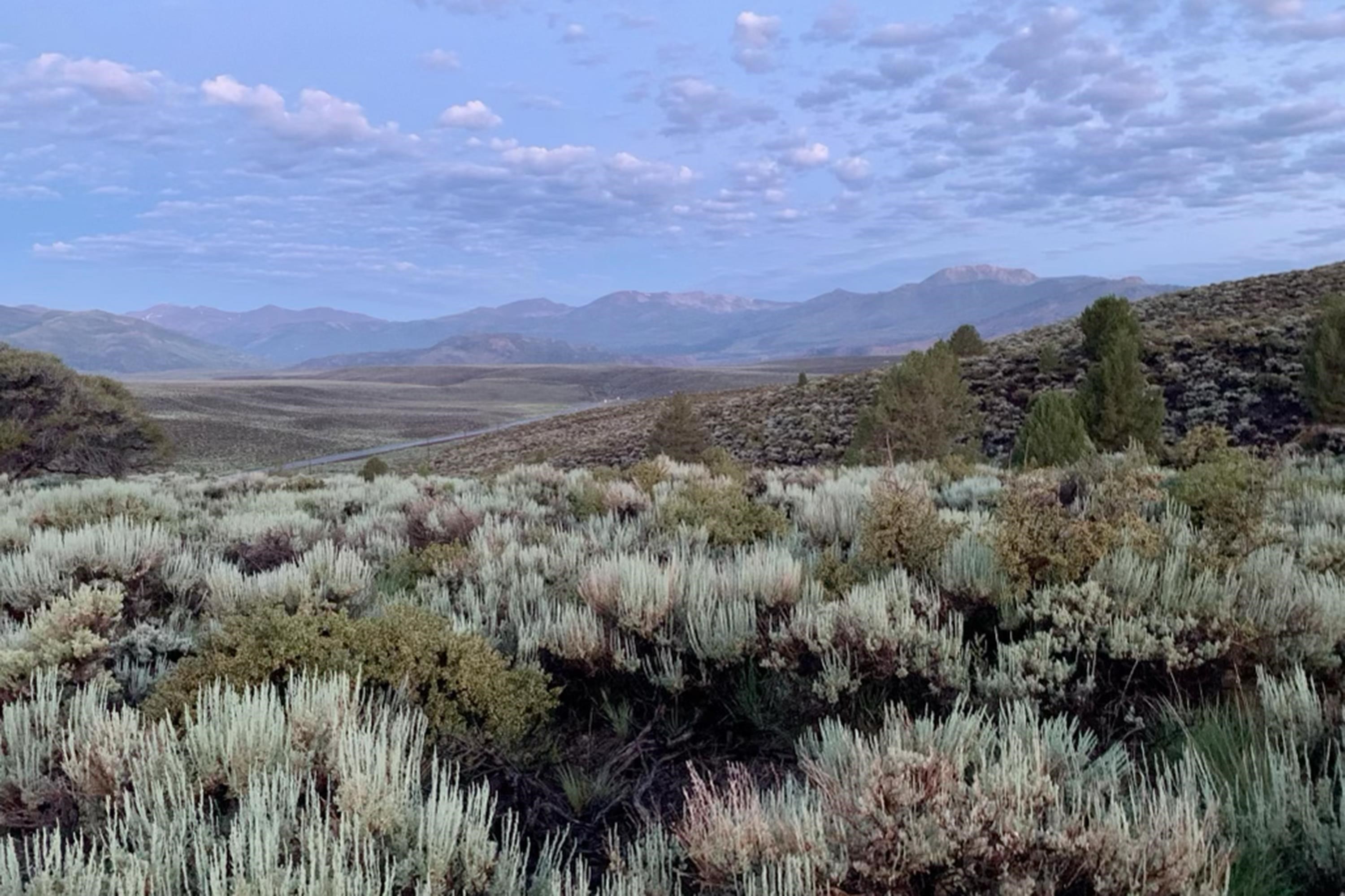 APN: 006-120-040-000, Hwy 395