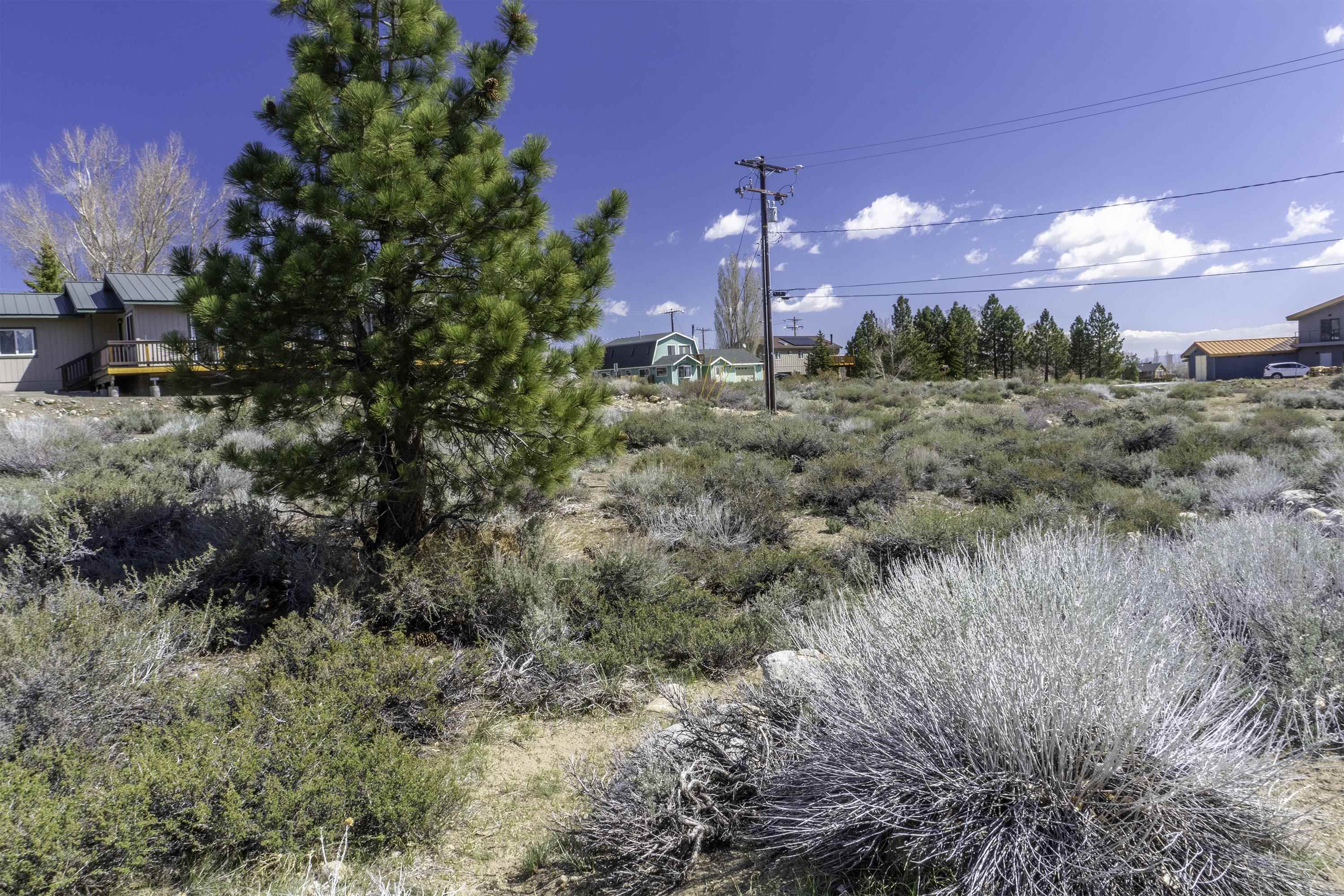 Unassigned Lake Helen Court