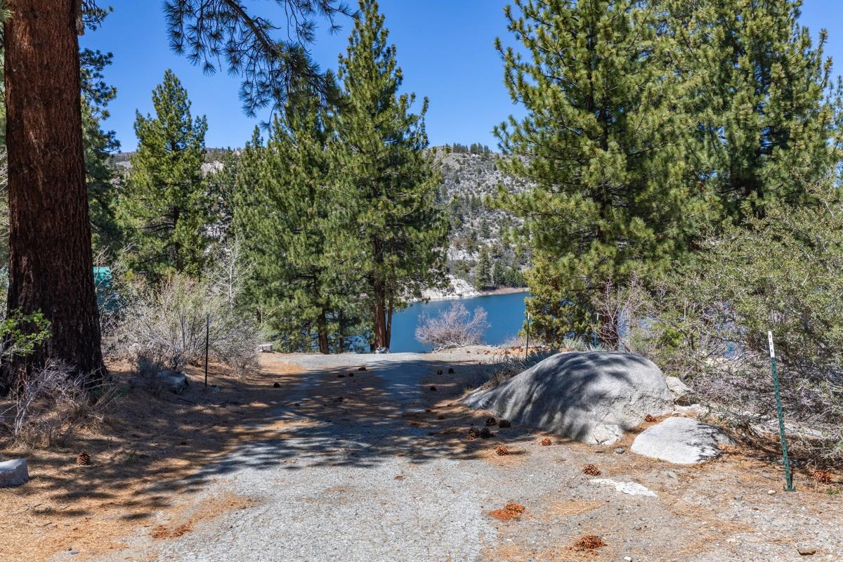 64 Forest Knoll Road