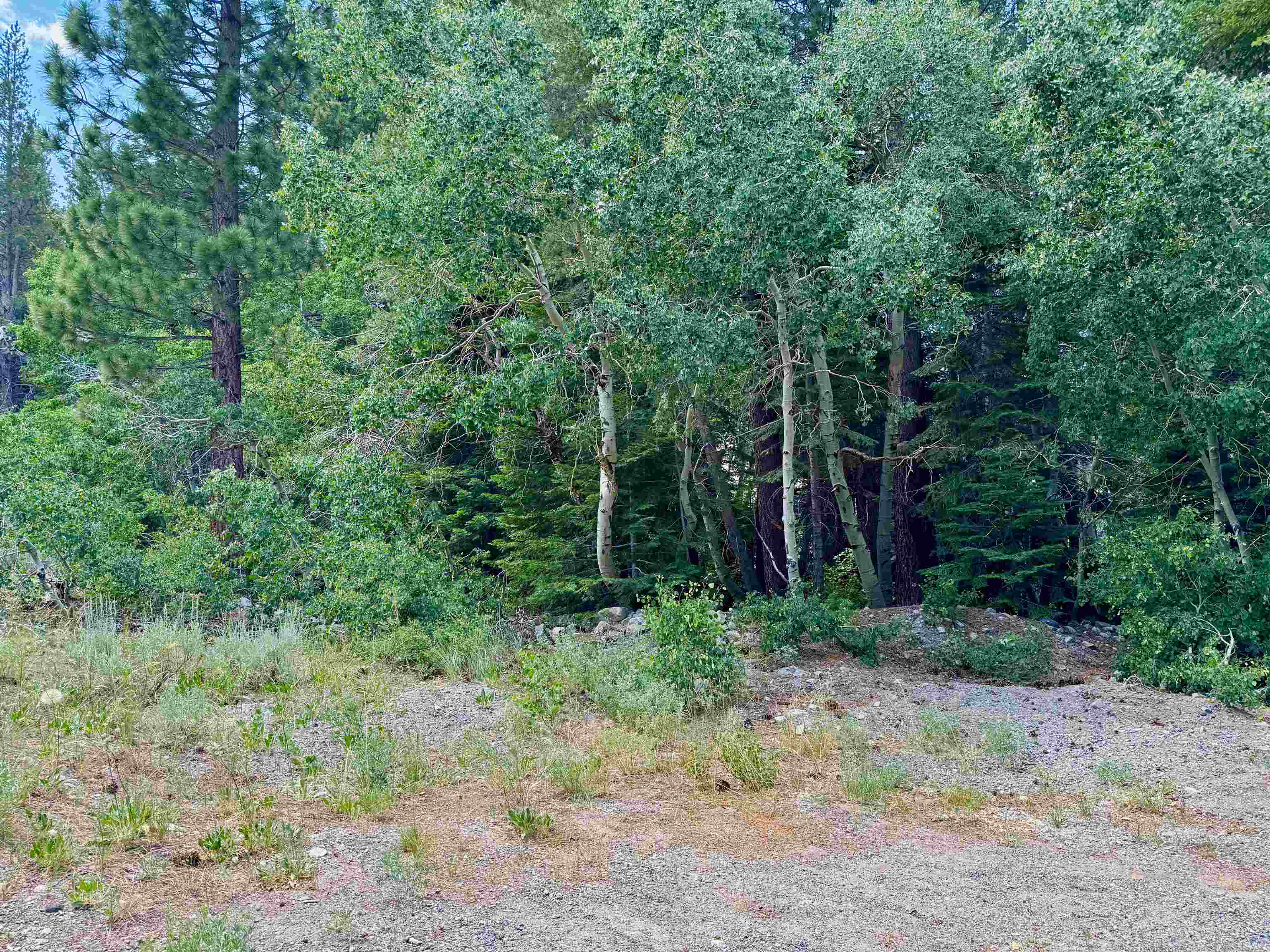 85 Shadow Pines Road