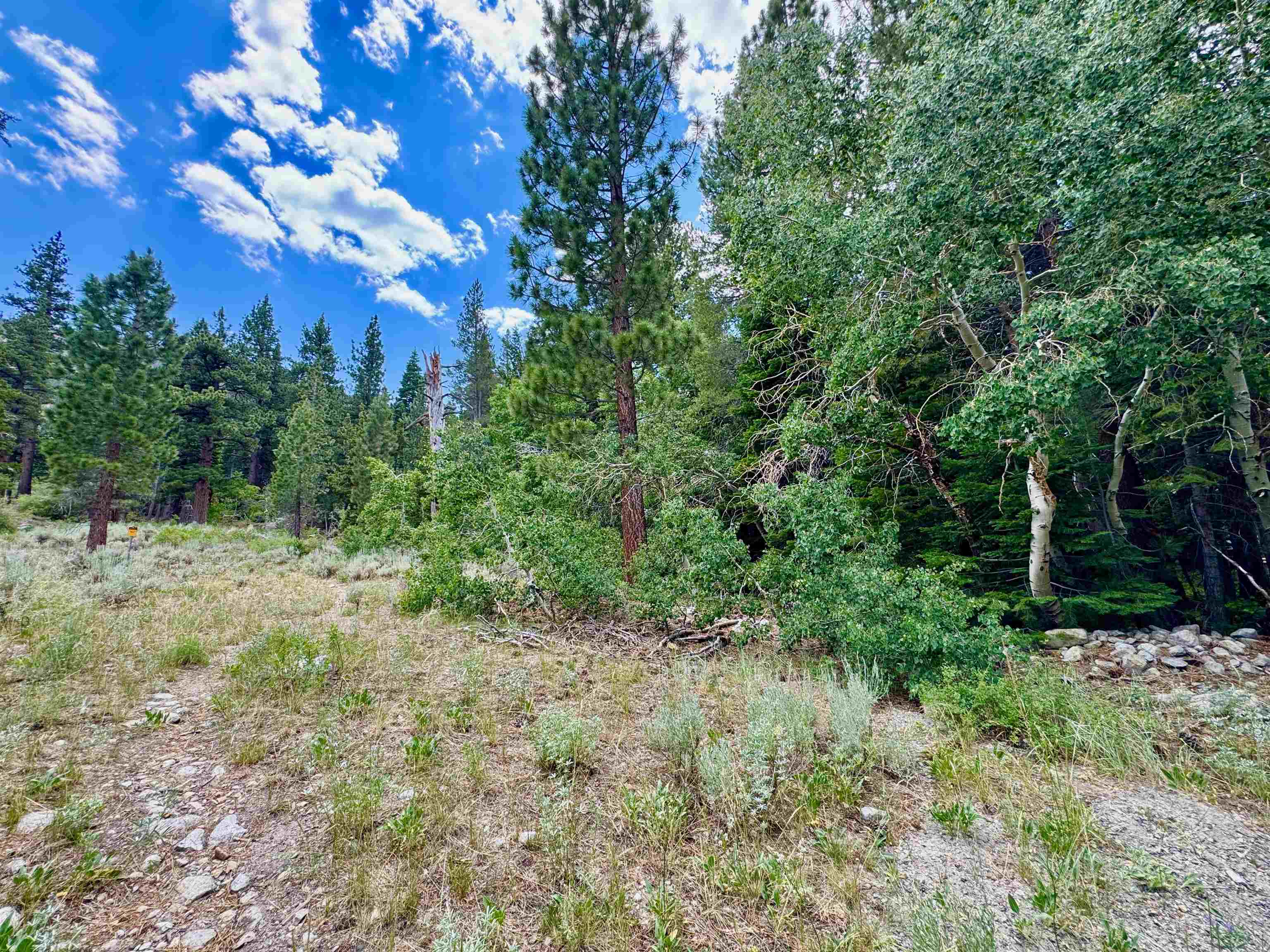 85 Shadow Pines Road
