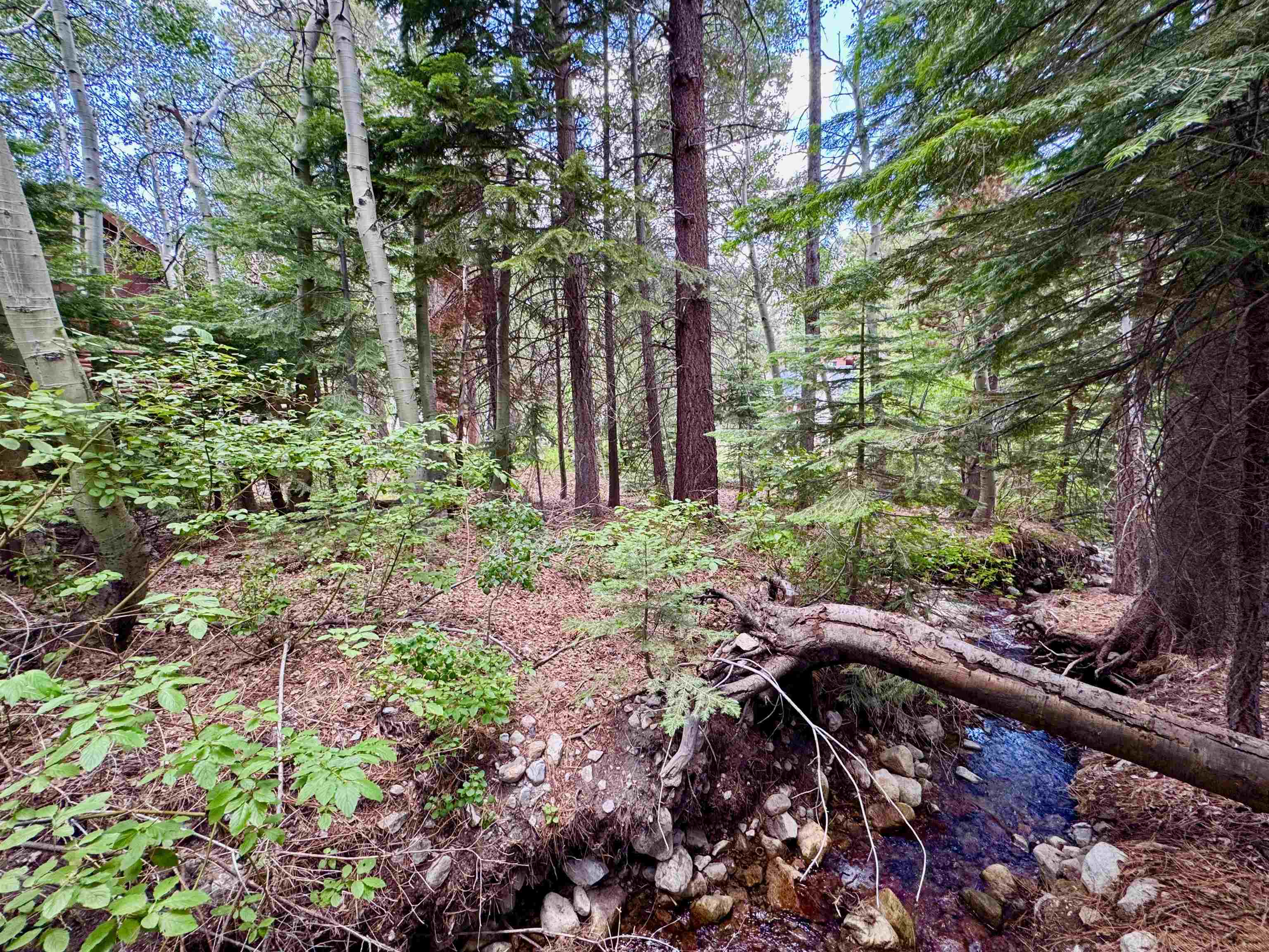 85 Shadow Pines Road