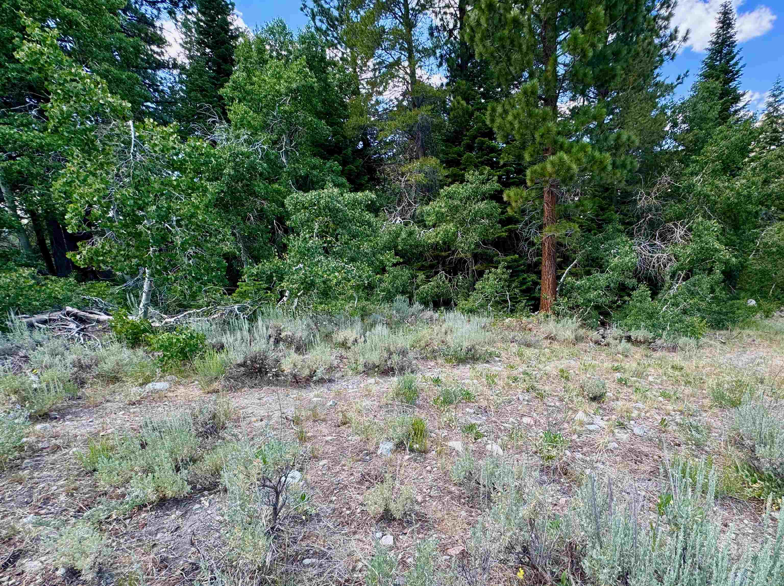 85 Shadow Pines Road