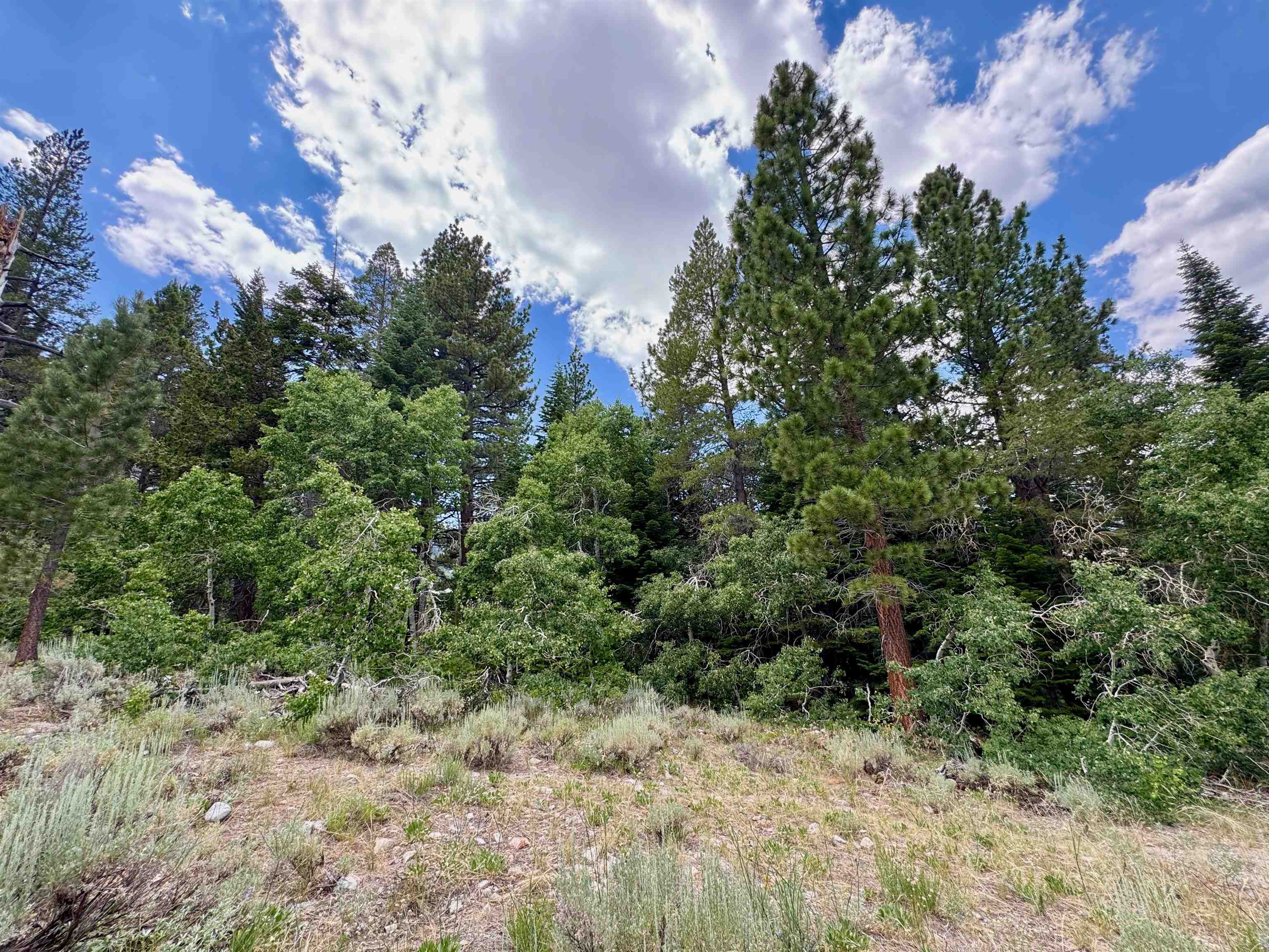 85 Shadow Pines Road