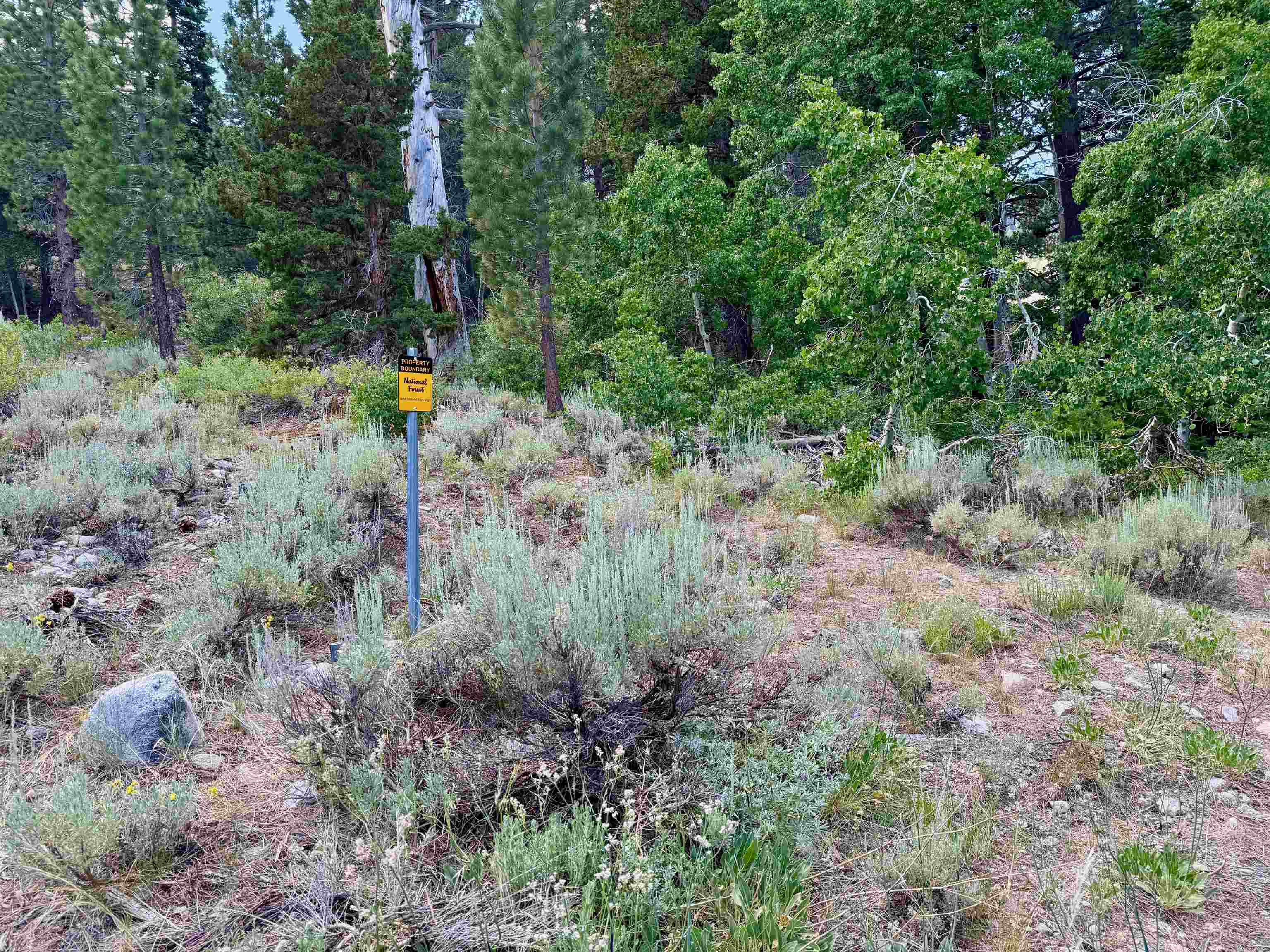 85 Shadow Pines Road