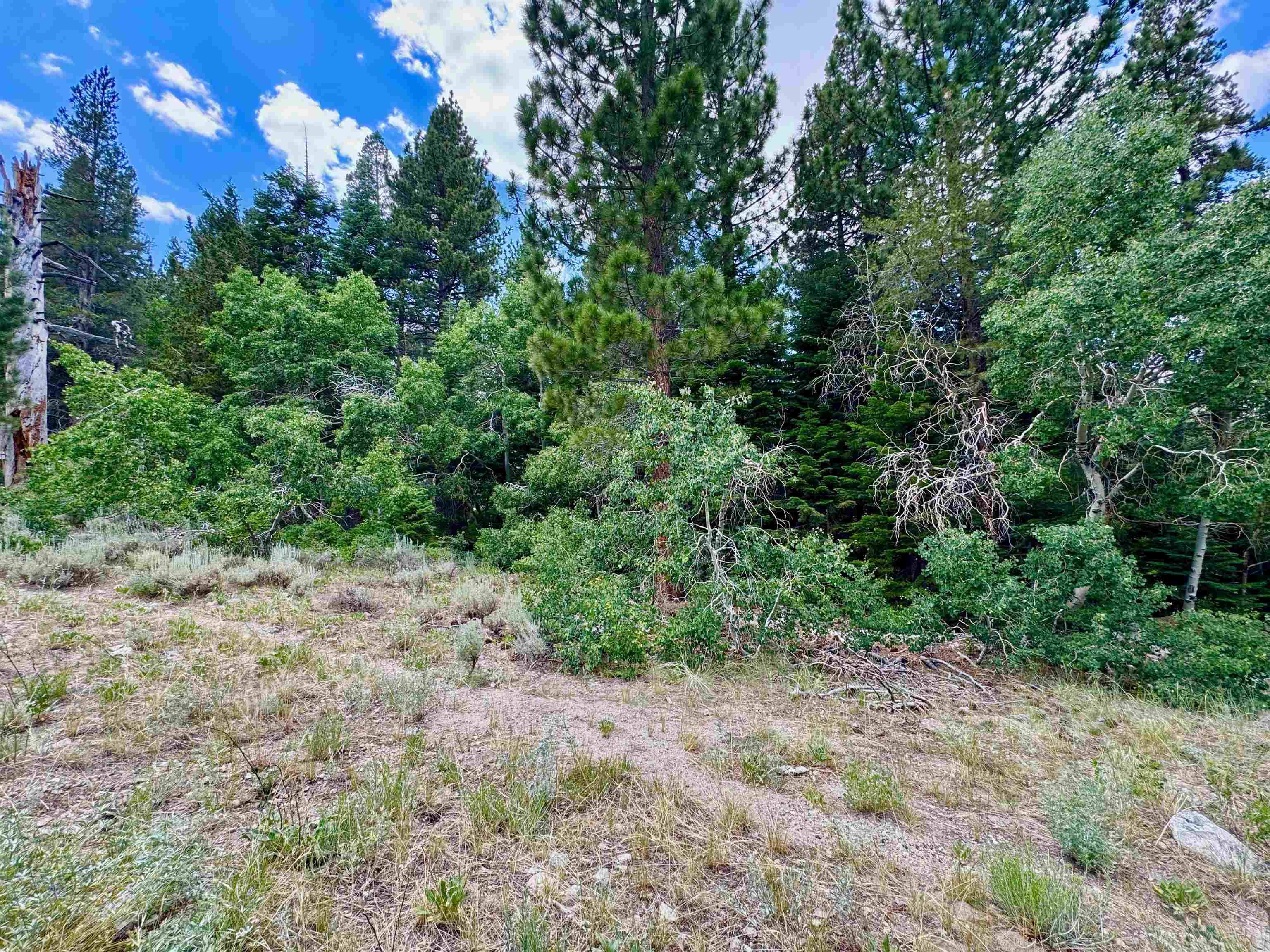 85 Shadow Pines Road